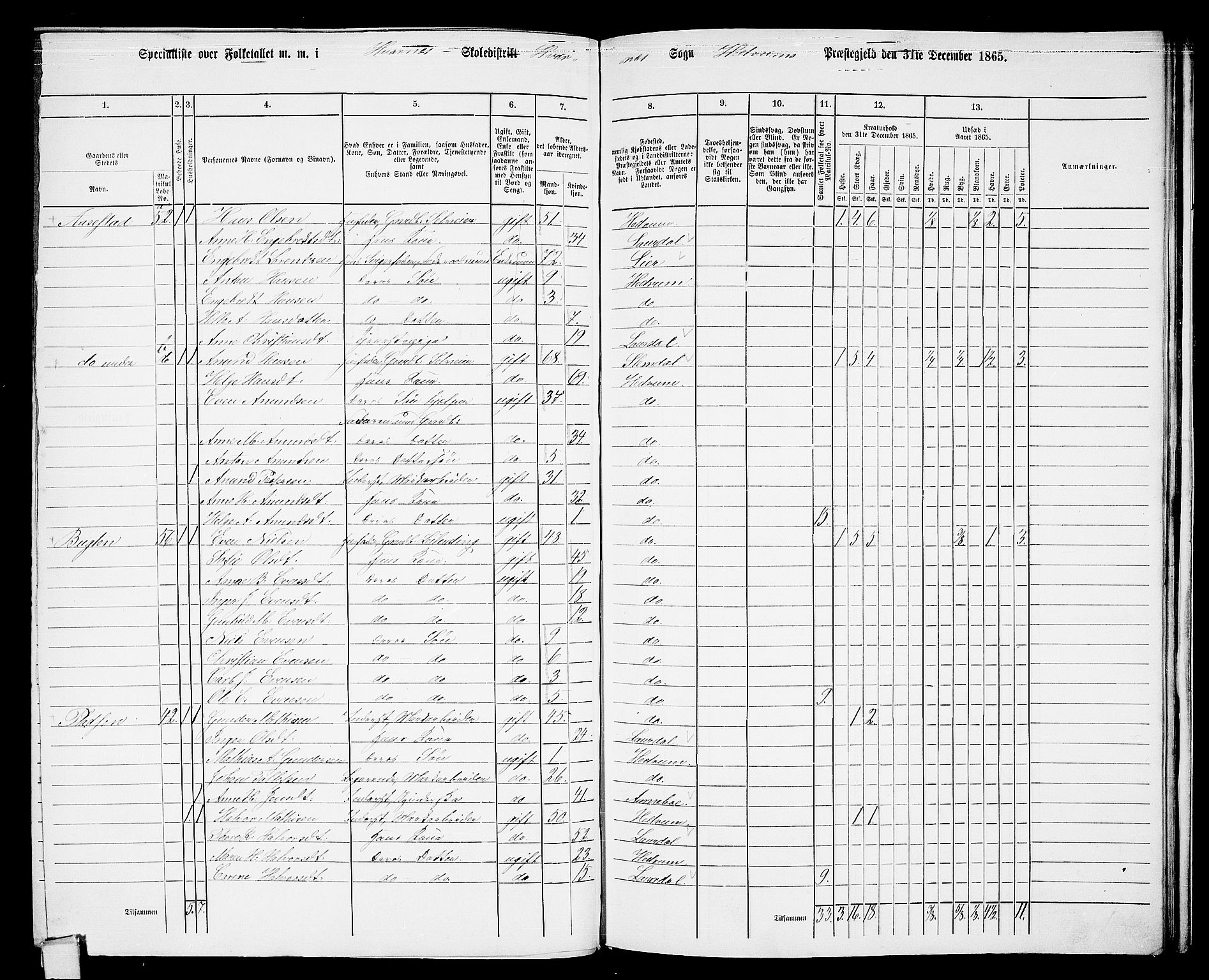 RA, 1865 census for Hedrum, 1865, p. 163