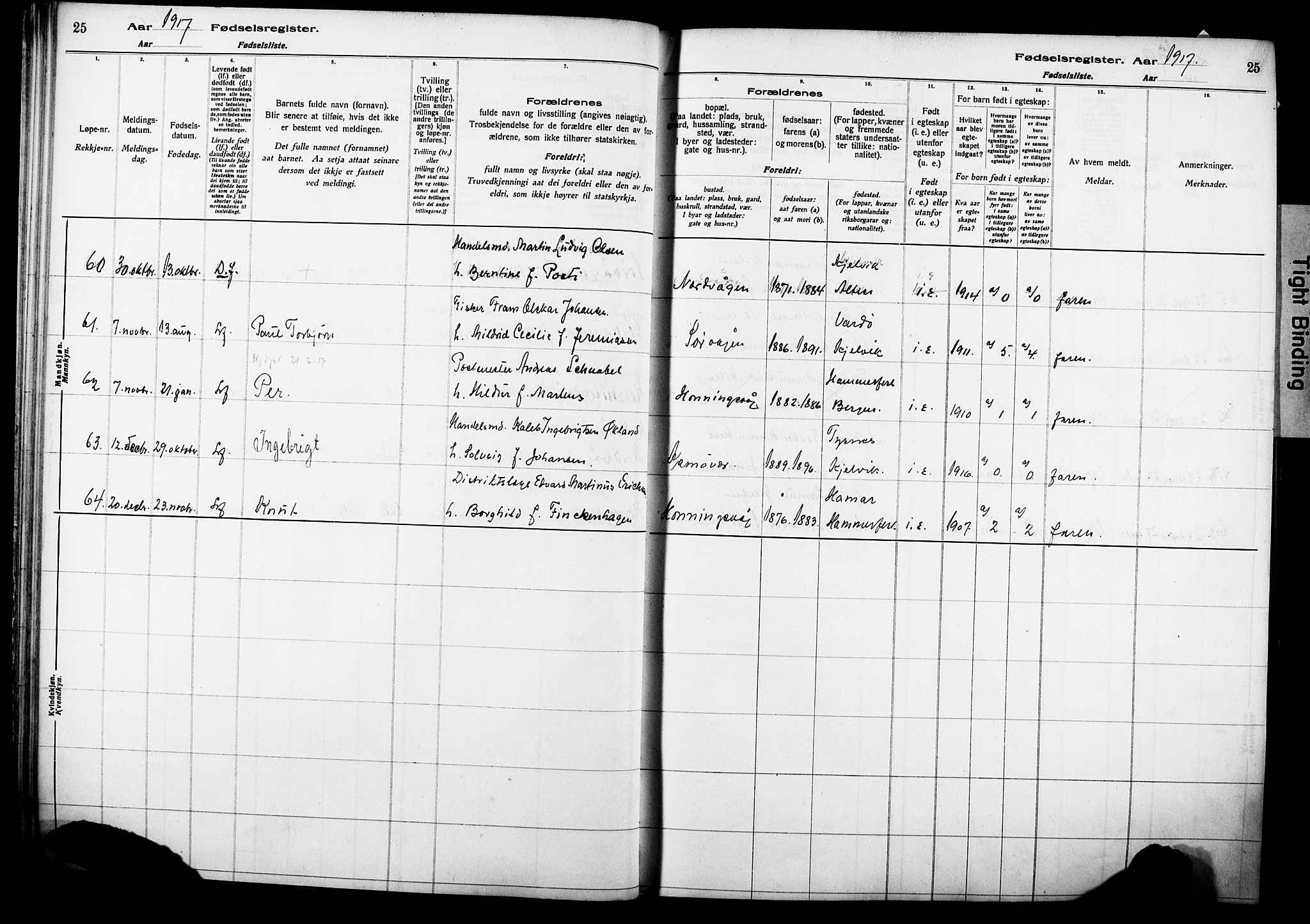 Kjelvik/Nordkapp sokneprestkontor, AV/SATØ-S-1350/I/Ia/L0015: Birth register no. 15, 1916-1930, p. 25