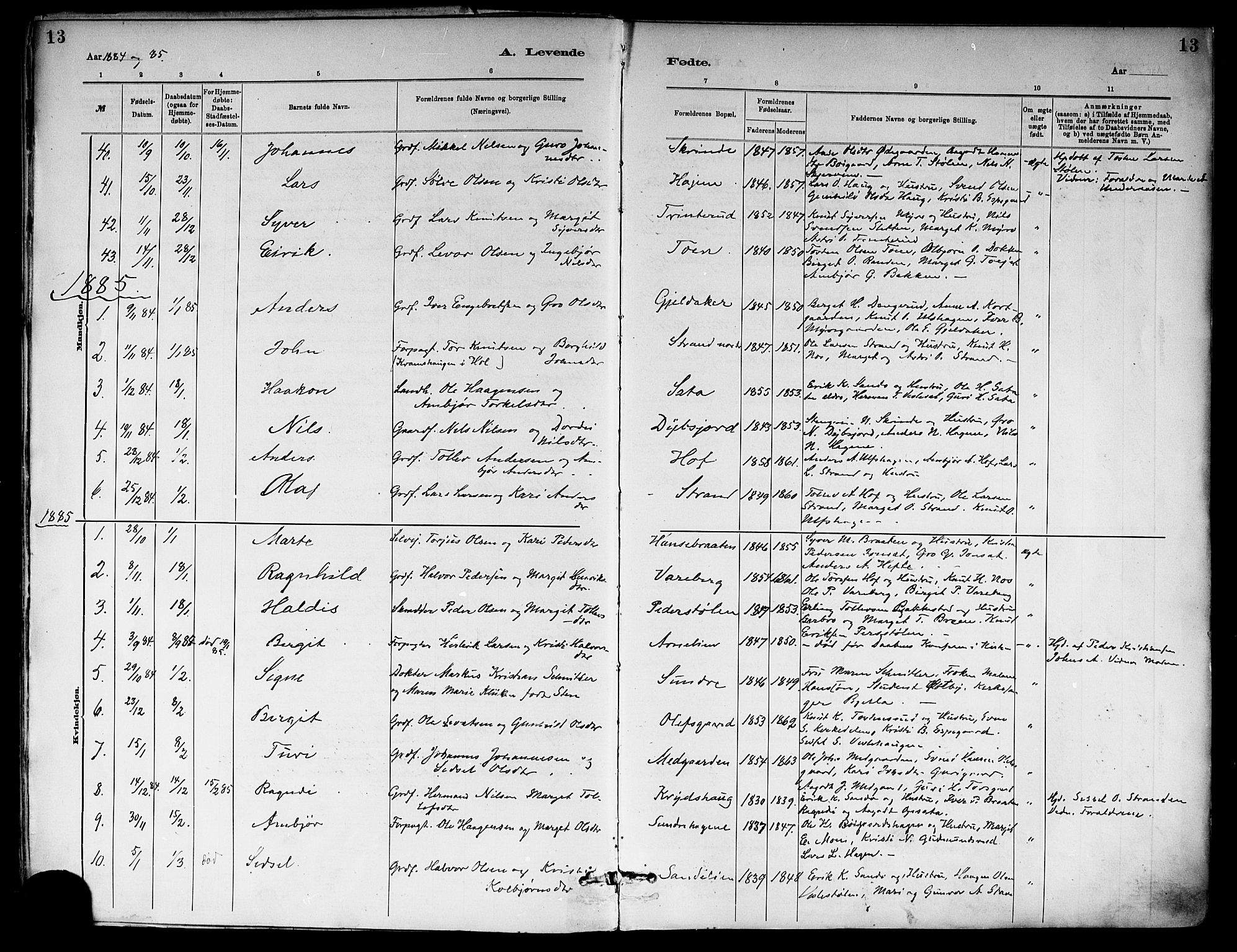 Ål kirkebøker, SAKO/A-249/F/Fa/L0008: Parish register (official) no. I 8, 1882-1896, p. 13
