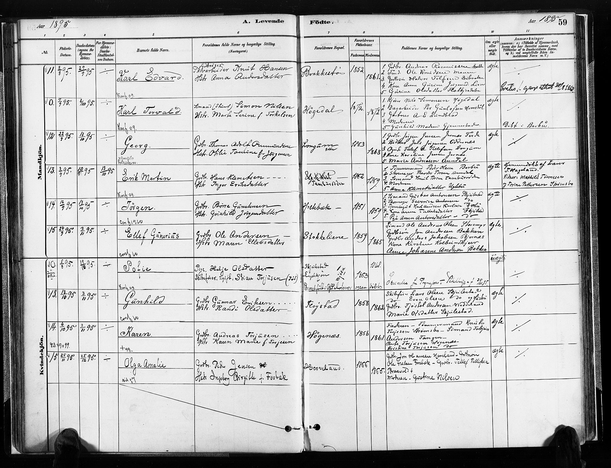 Austre Moland sokneprestkontor, AV/SAK-1111-0001/F/Fa/Faa/L0010: Parish register (official) no. A 10, 1880-1904, p. 59