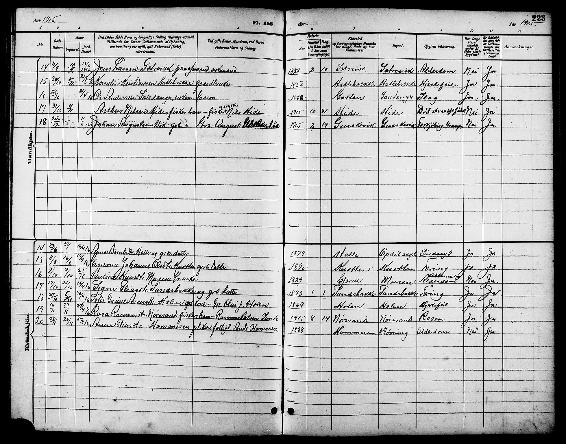 Ministerialprotokoller, klokkerbøker og fødselsregistre - Møre og Romsdal, AV/SAT-A-1454/503/L0049: Parish register (copy) no. 503C04, 1894-1915, p. 223