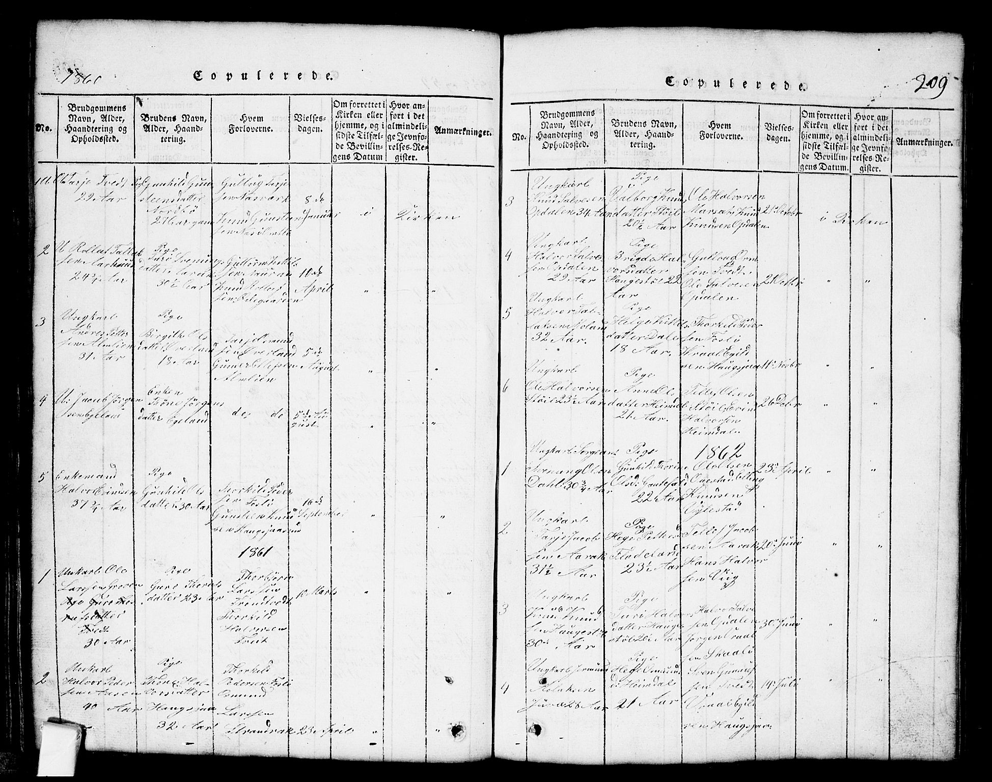 Nissedal kirkebøker, SAKO/A-288/G/Gb/L0001: Parish register (copy) no. II 1, 1814-1862, p. 209