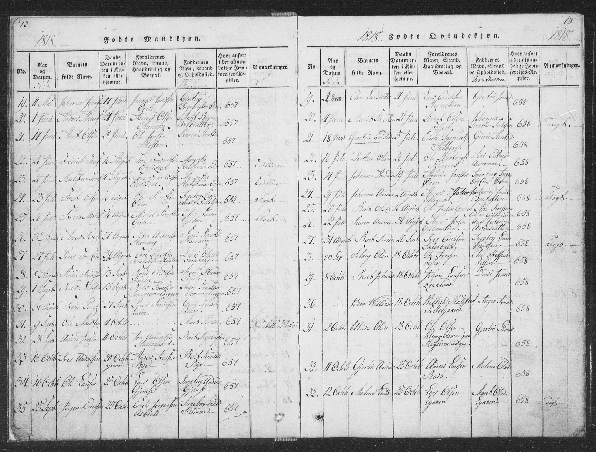 Ministerialprotokoller, klokkerbøker og fødselsregistre - Sør-Trøndelag, SAT/A-1456/668/L0816: Parish register (copy) no. 668C05, 1816-1893, p. 12-13
