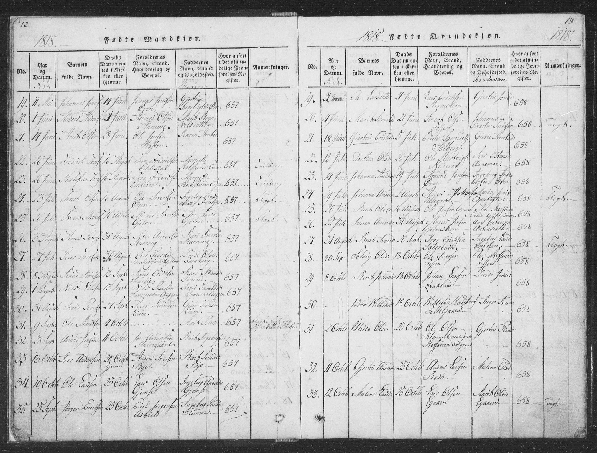 Ministerialprotokoller, klokkerbøker og fødselsregistre - Sør-Trøndelag, AV/SAT-A-1456/668/L0816: Parish register (copy) no. 668C05, 1816-1893, p. 12-13