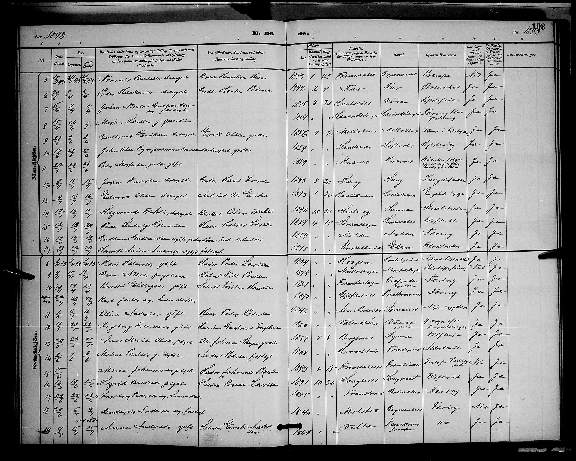 Gran prestekontor, AV/SAH-PREST-112/H/Ha/Hab/L0005: Parish register (copy) no. 5, 1892-1900, p. 193