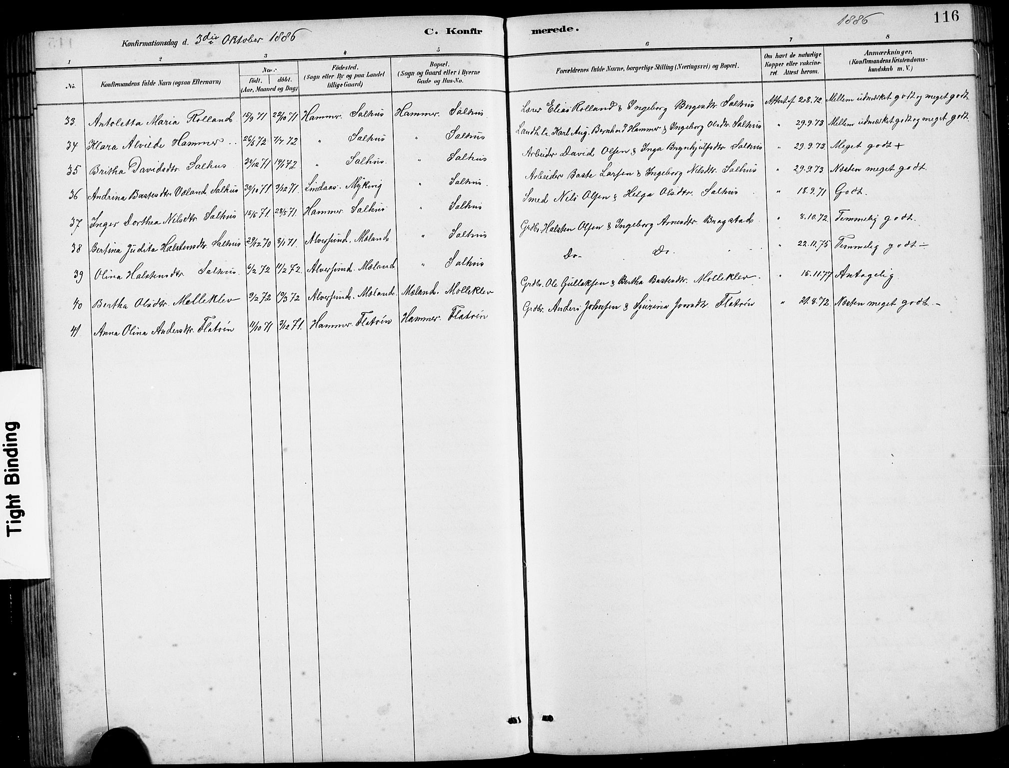 Hamre sokneprestembete, AV/SAB-A-75501/H/Ha/Hab: Parish register (copy) no. B 3, 1881-1898, p. 116