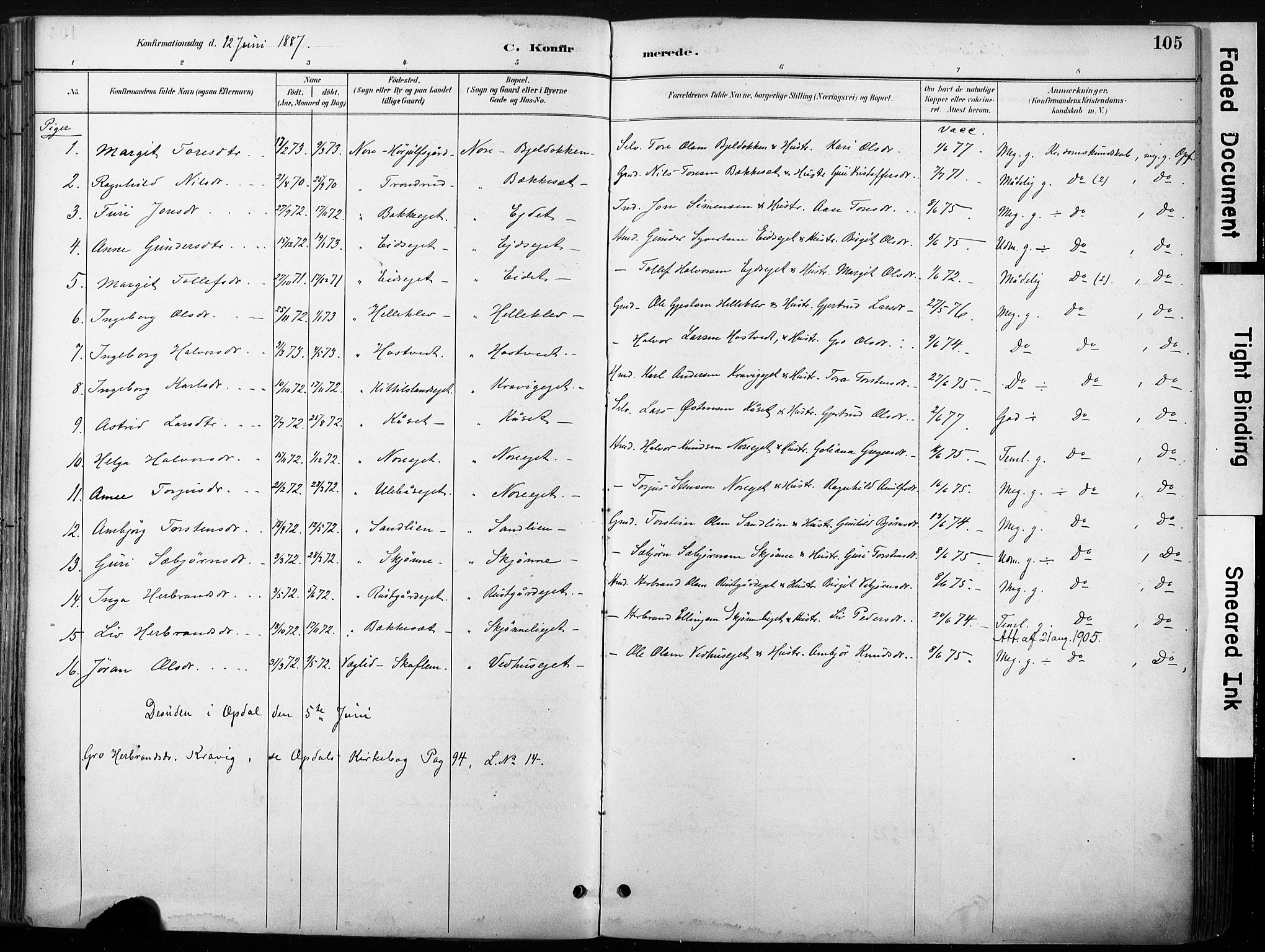 Nore kirkebøker, SAKO/A-238/F/Fb/L0002: Parish register (official) no. II 2, 1886-1906, p. 105