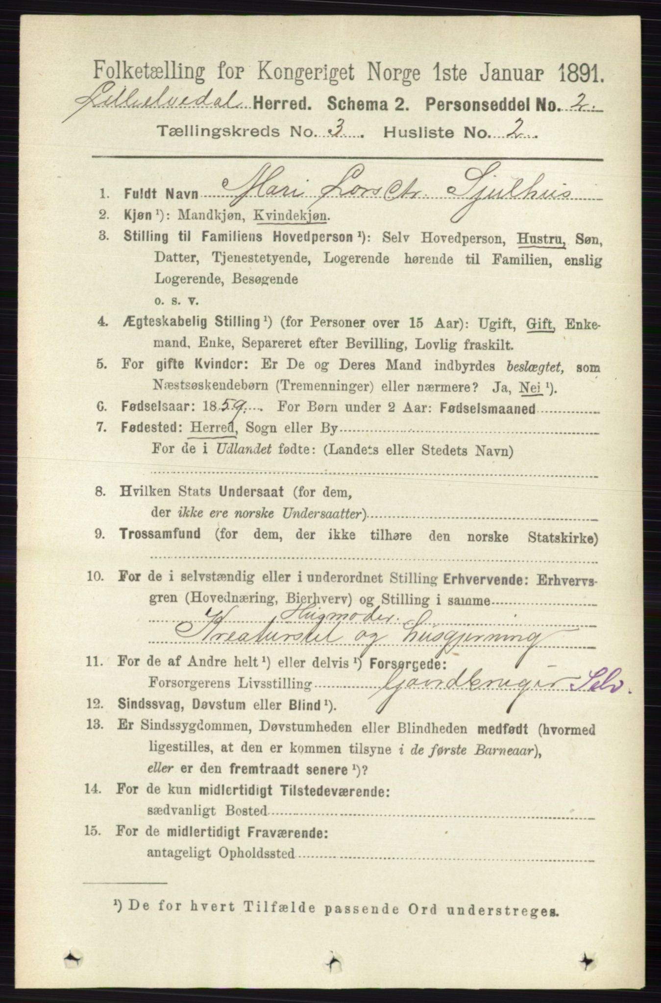 RA, 1891 census for 0438 Lille Elvedalen, 1891, p. 1037