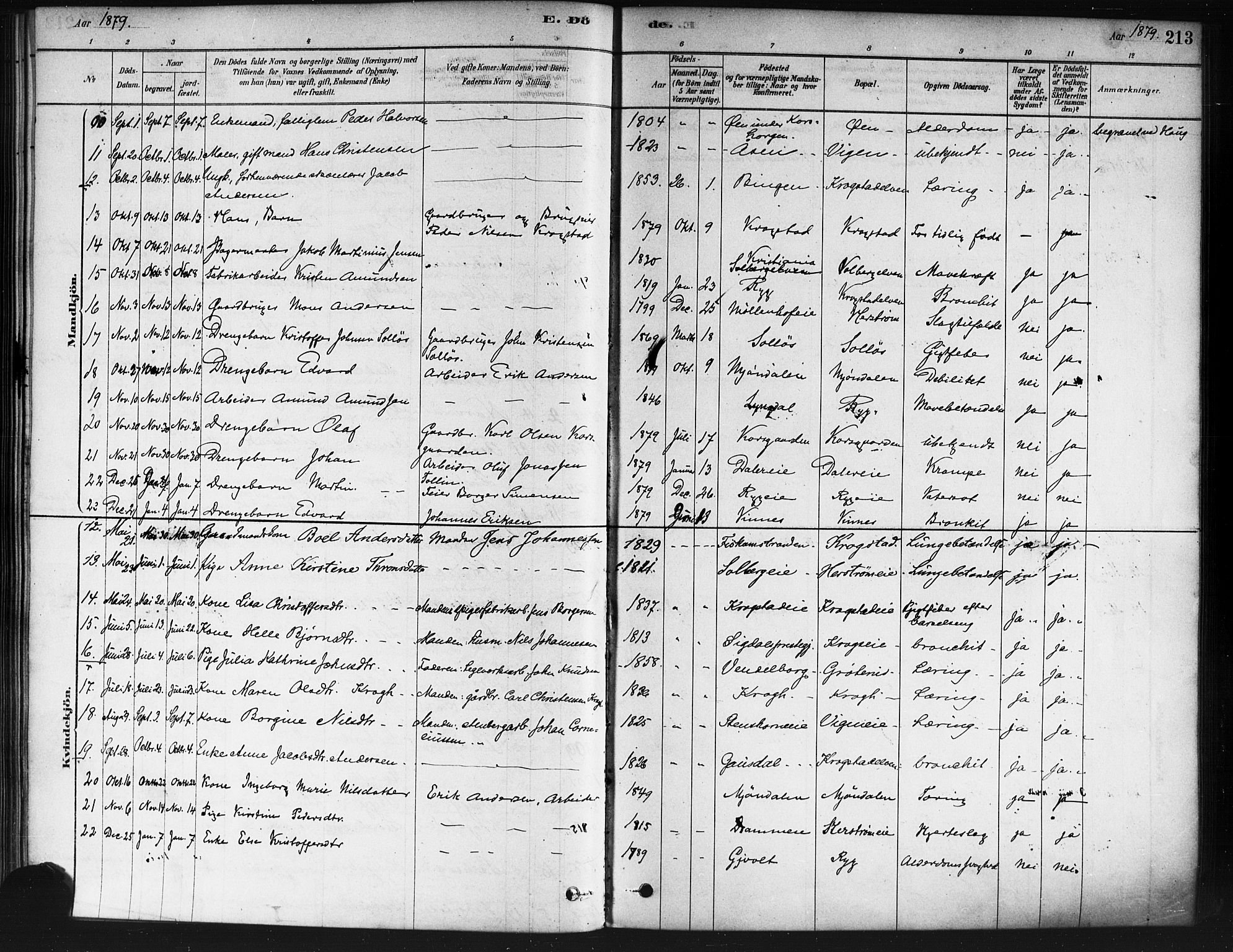 Nedre Eiker kirkebøker, AV/SAKO-A-612/F/Fa/L0002: Parish register (official) no. 2, 1878-1885, p. 213