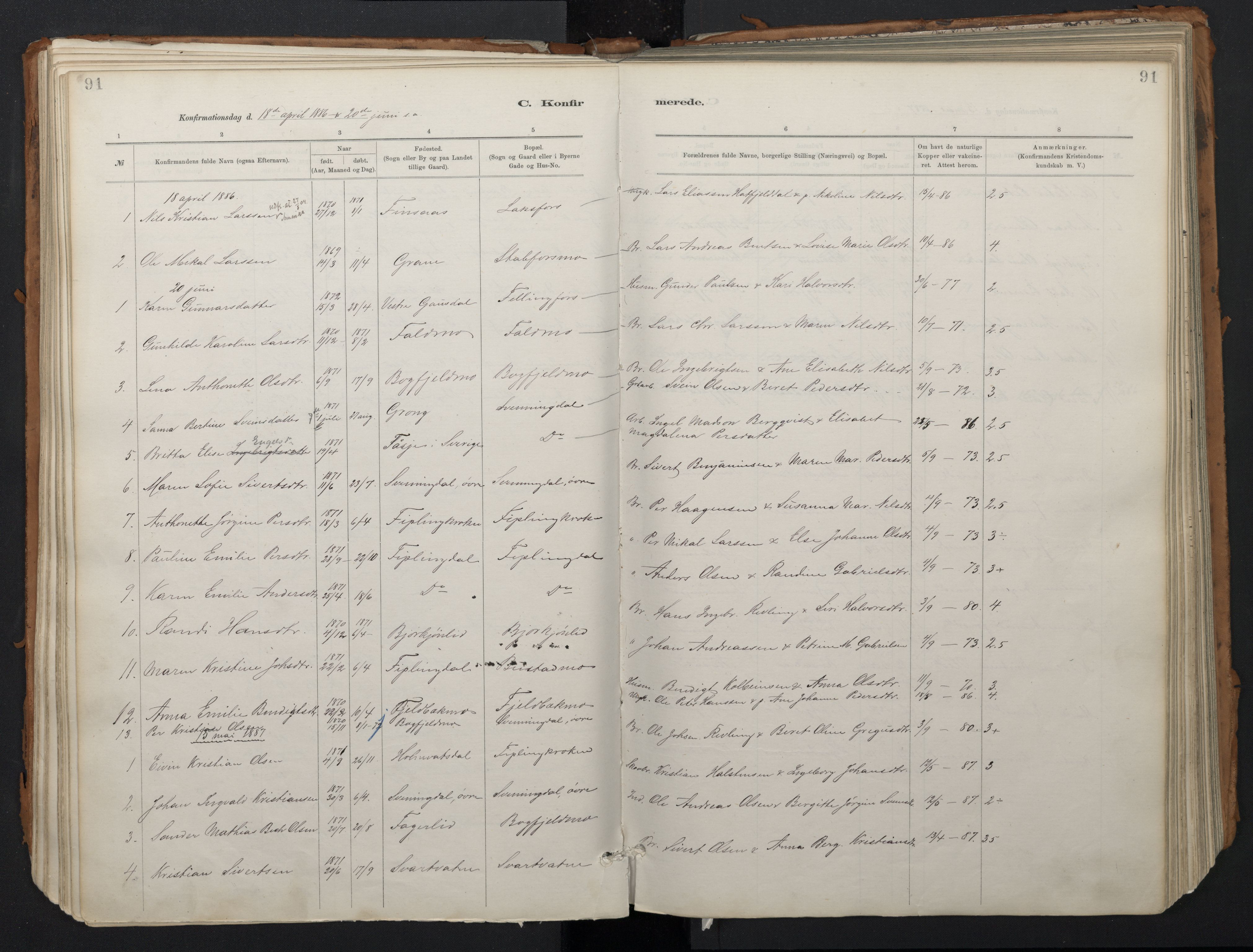 Ministerialprotokoller, klokkerbøker og fødselsregistre - Nordland, SAT/A-1459/824/L0338: Parish register (official) no. 824A01, 1880-1915, p. 91