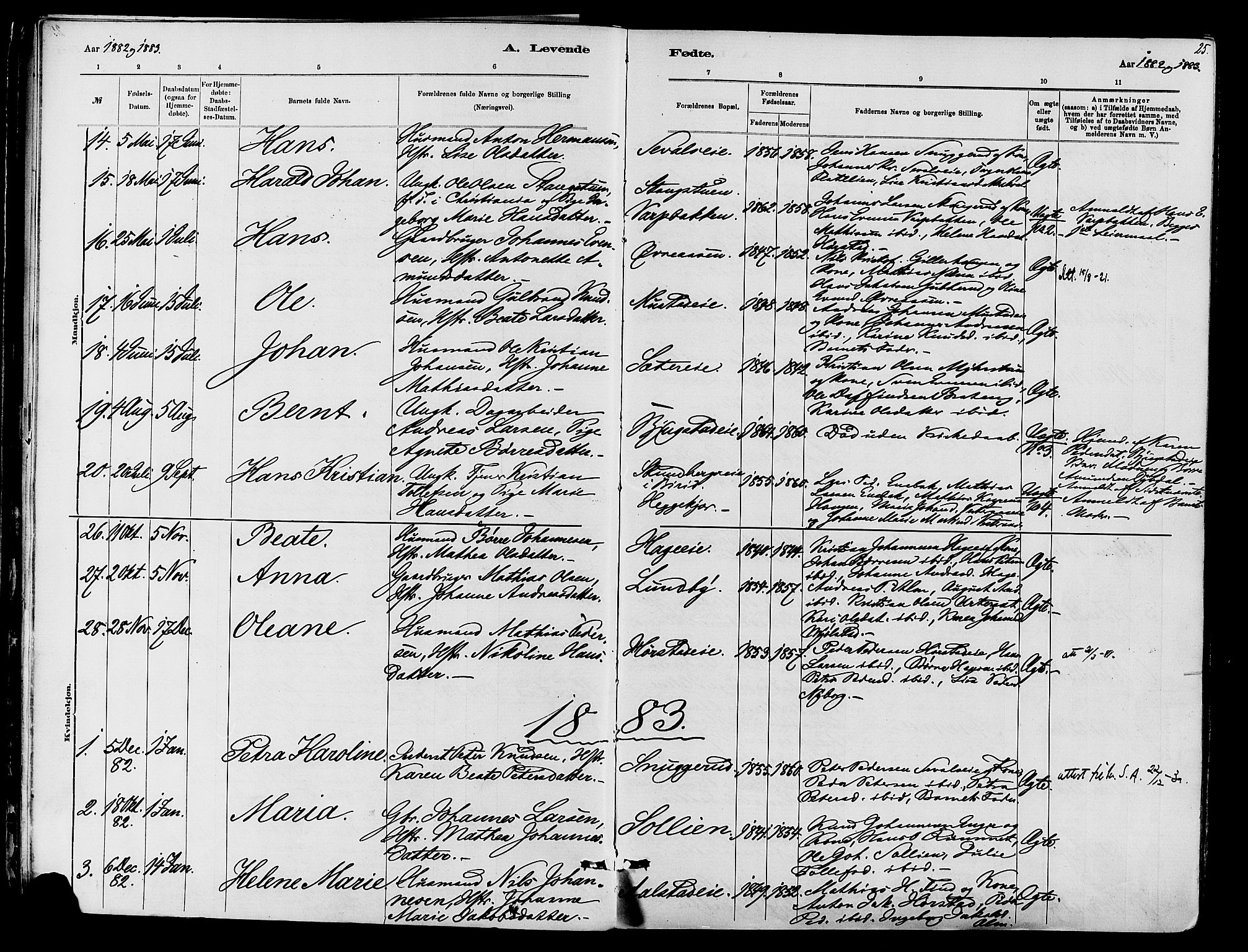 Vardal prestekontor, SAH/PREST-100/H/Ha/Haa/L0010: Parish register (official) no. 10, 1878-1893, p. 25
