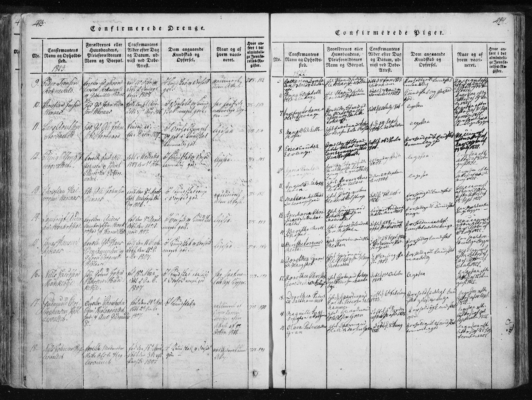 Ministerialprotokoller, klokkerbøker og fødselsregistre - Nord-Trøndelag, SAT/A-1458/717/L0148: Parish register (official) no. 717A04 /2, 1816-1825, p. 493-494