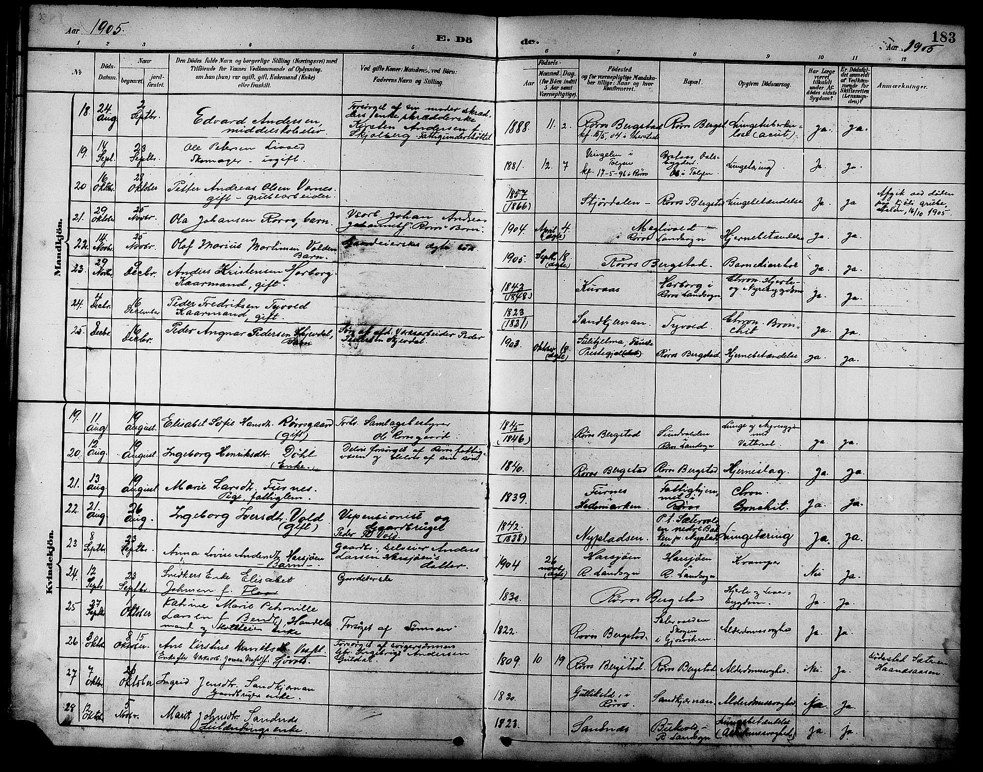 Ministerialprotokoller, klokkerbøker og fødselsregistre - Sør-Trøndelag, SAT/A-1456/681/L0941: Parish register (copy) no. 681C05, 1896-1905, p. 183