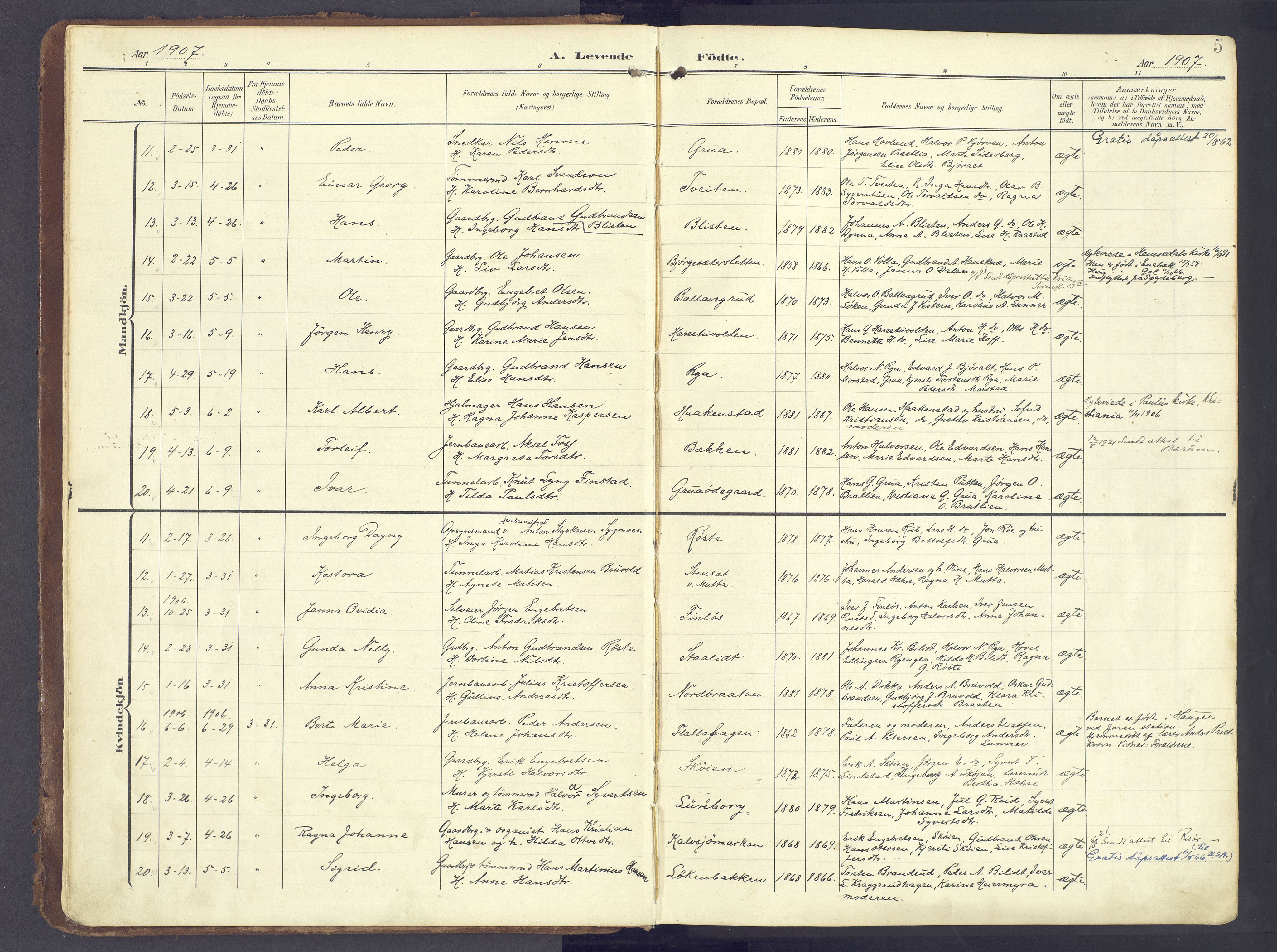 Lunner prestekontor, SAH/PREST-118/H/Ha/Haa/L0001: Parish register (official) no. 1, 1907-1922, p. 5