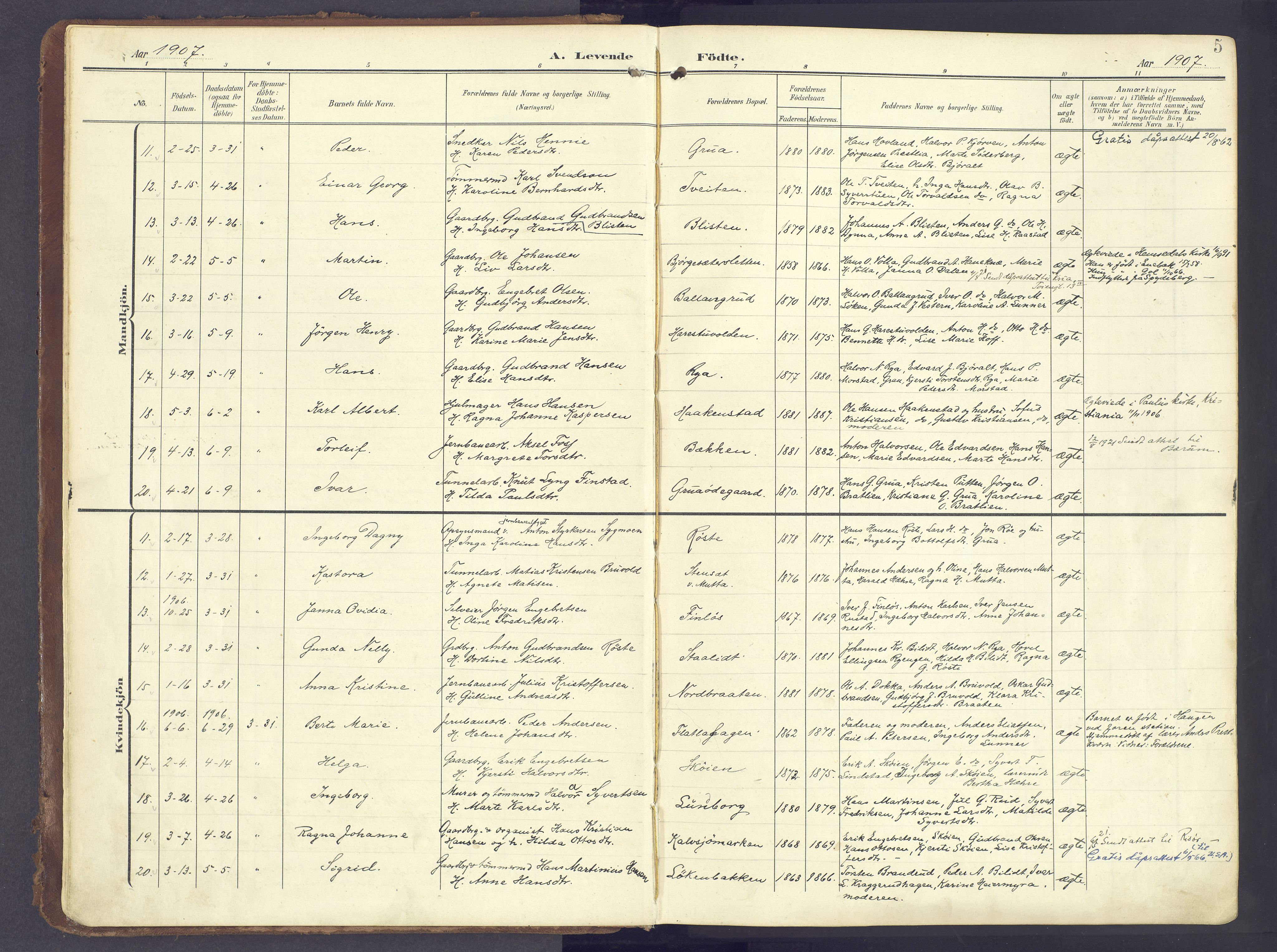 Lunner prestekontor, AV/SAH-PREST-118/H/Ha/Haa/L0001: Parish register (official) no. 1, 1907-1922, p. 5