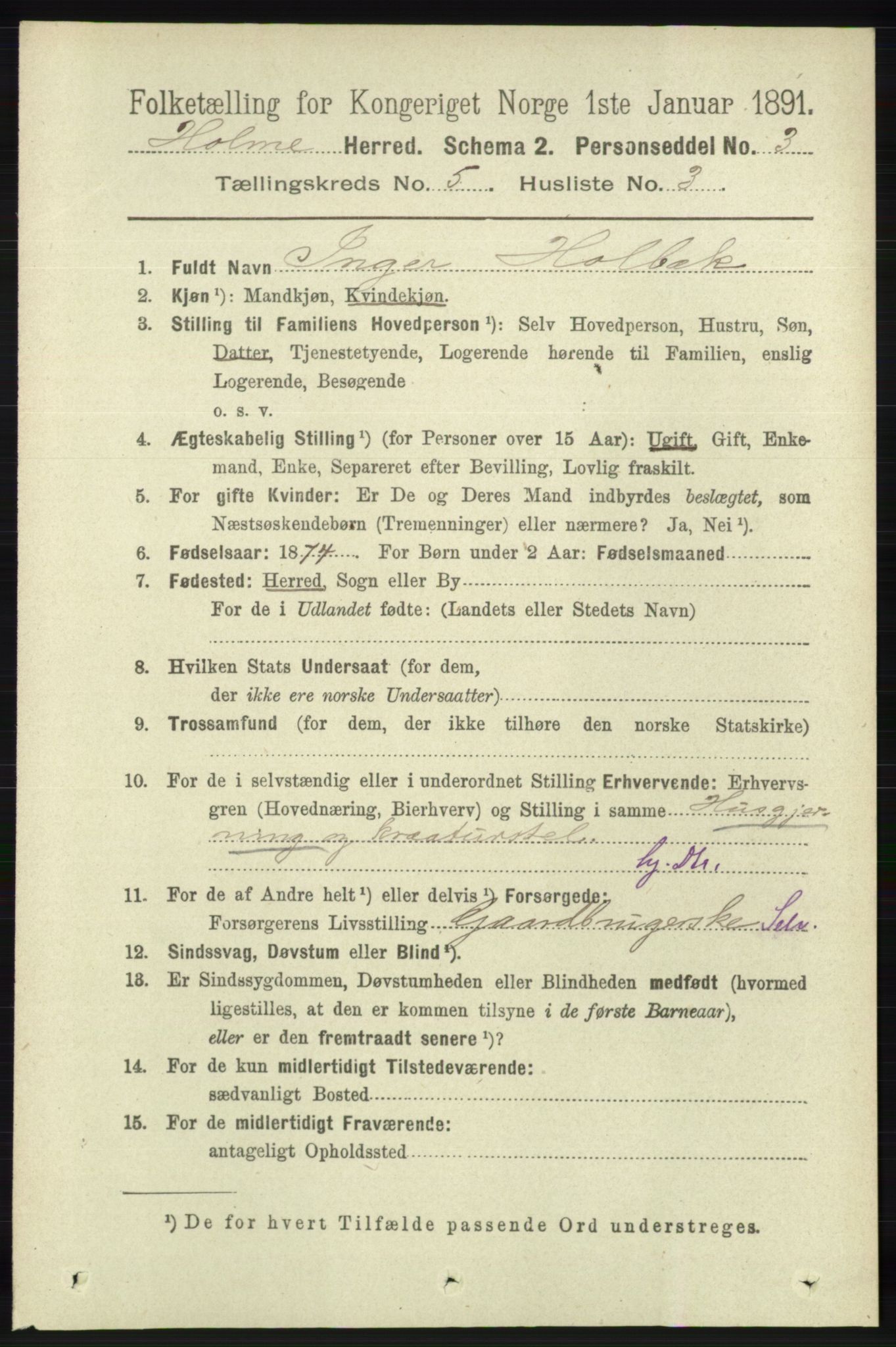 RA, 1891 census for 1020 Holum, 1891, p. 1246