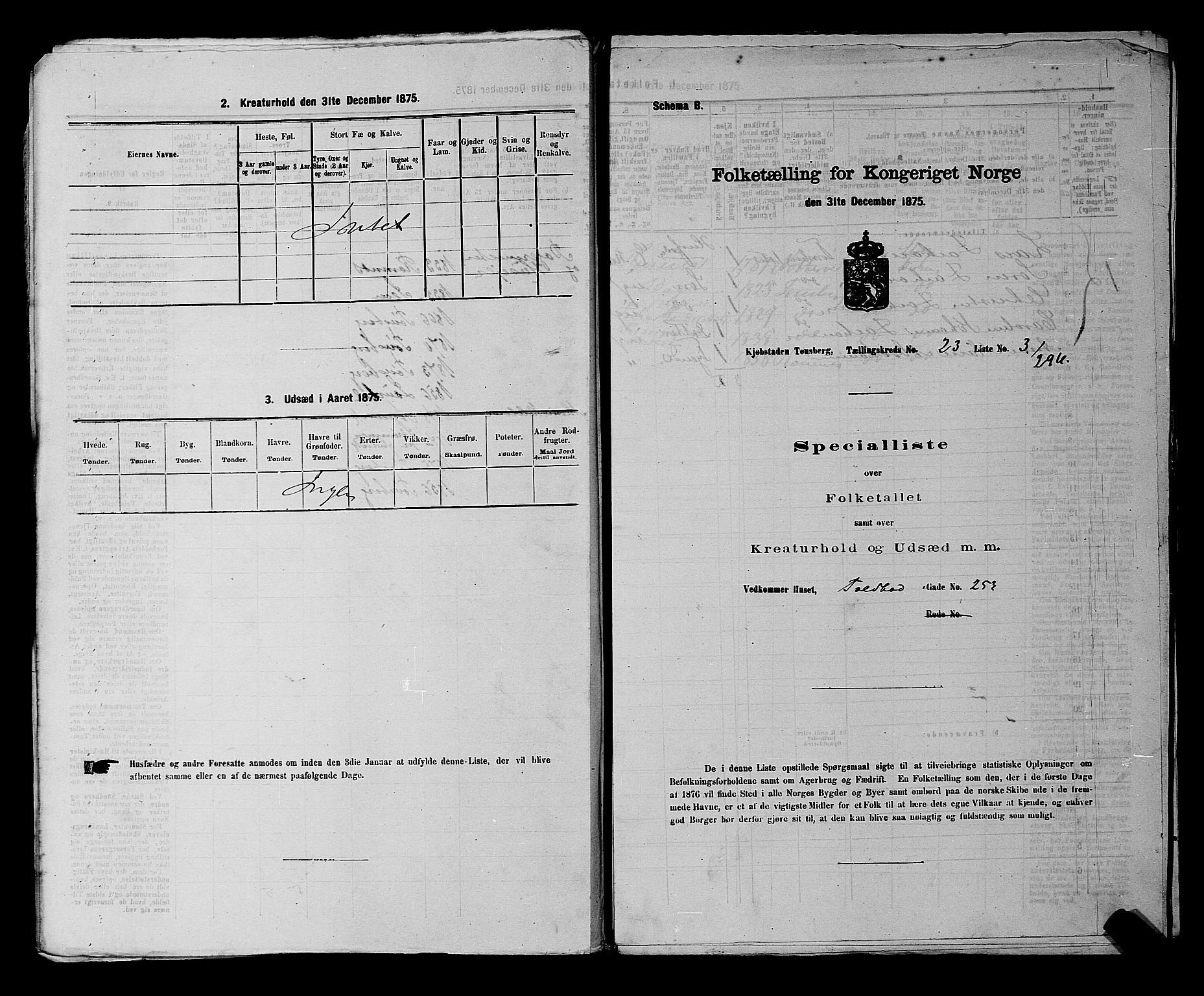 SAKO, 1875 census for 0705P Tønsberg, 1875, p. 727