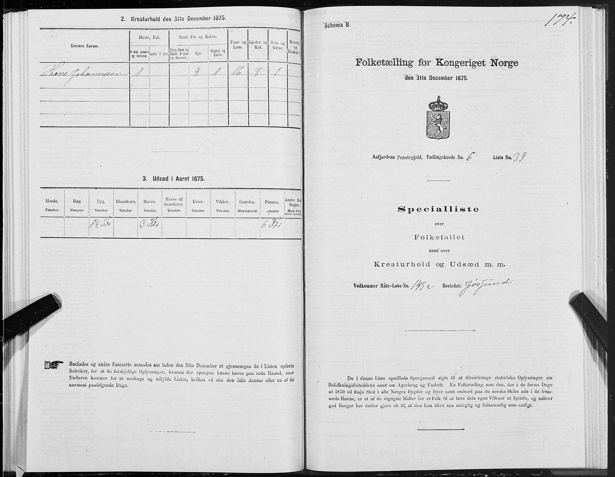 SAT, 1875 census for 1630P Aafjorden, 1875, p. 3174