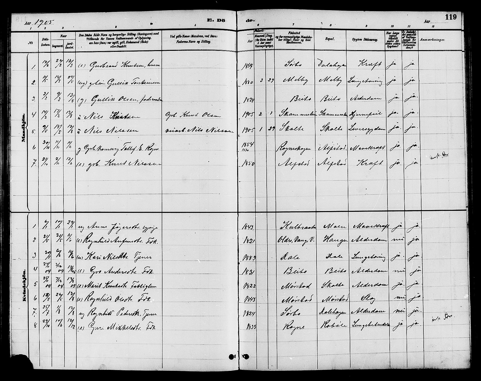 Øystre Slidre prestekontor, SAH/PREST-138/H/Ha/Hab/L0004: Parish register (copy) no. 4, 1887-1907, p. 119