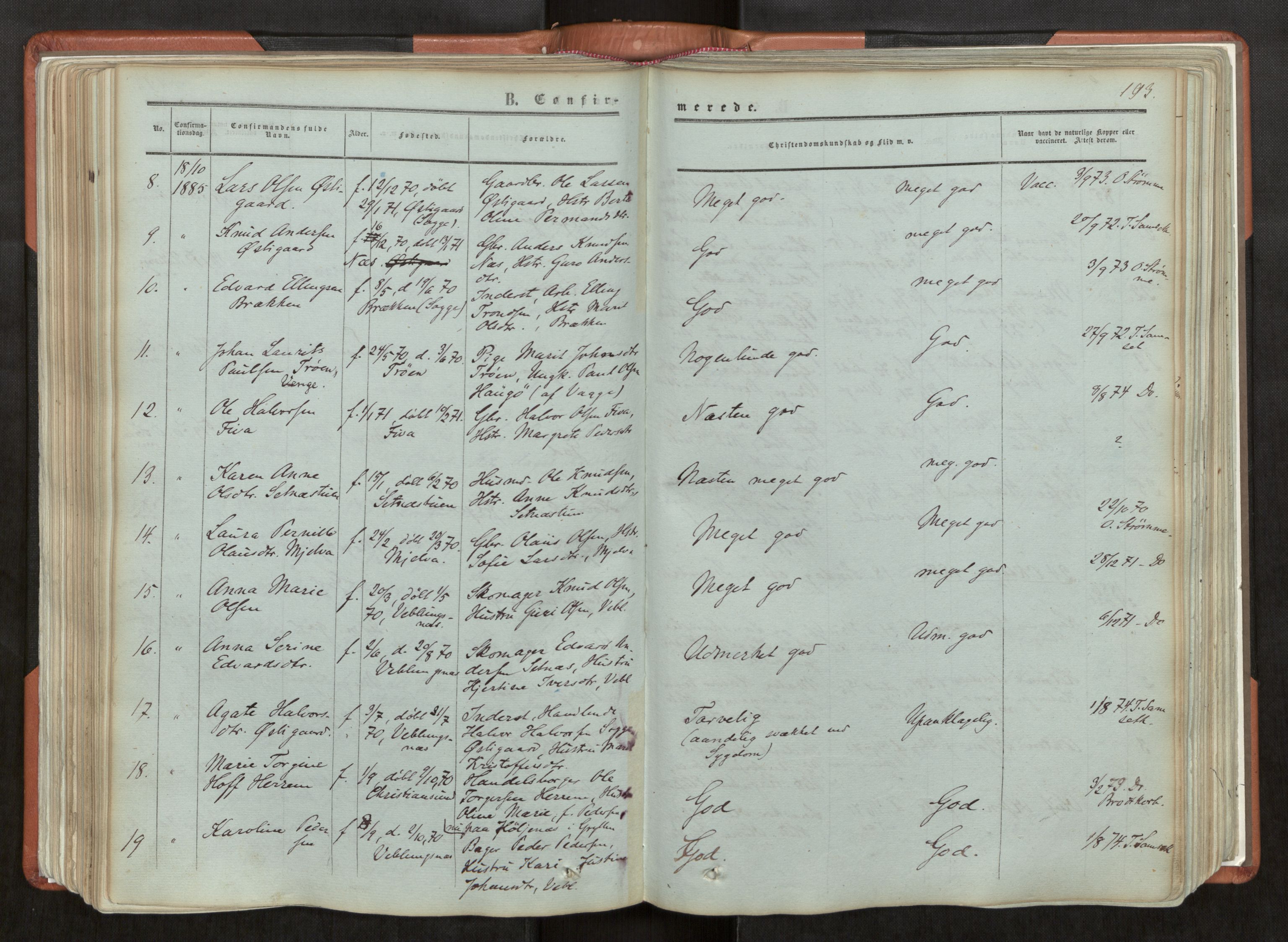 Ministerialprotokoller, klokkerbøker og fødselsregistre - Møre og Romsdal, AV/SAT-A-1454/544/L0572: Parish register (official) no. 544A05, 1854-1886, p. 193