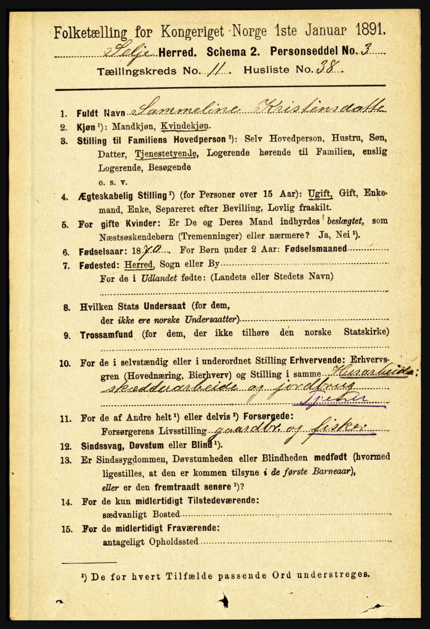 RA, 1891 census for 1441 Selje, 1891, p. 3620