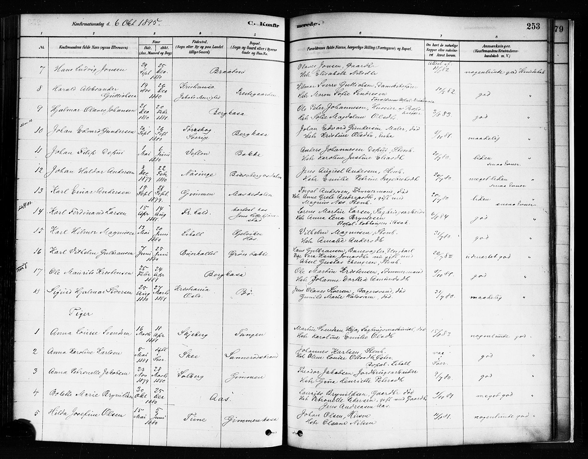 Idd prestekontor Kirkebøker, AV/SAO-A-10911/F/Fc/L0006a: Parish register (official) no. III 6A, 1878-1903, p. 253