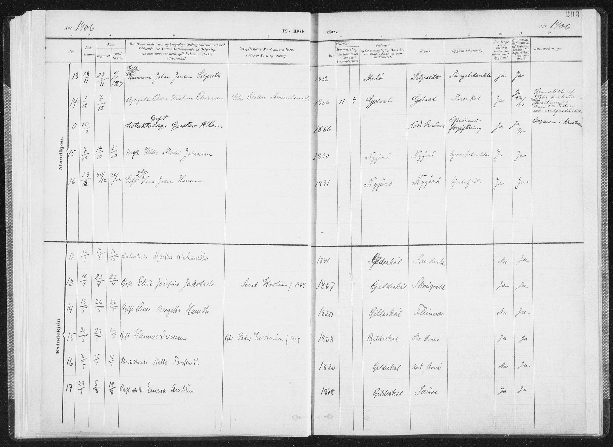 Ministerialprotokoller, klokkerbøker og fødselsregistre - Nordland, AV/SAT-A-1459/805/L0103: Parish register (official) no. 805A08II, 1900-1909, p. 293