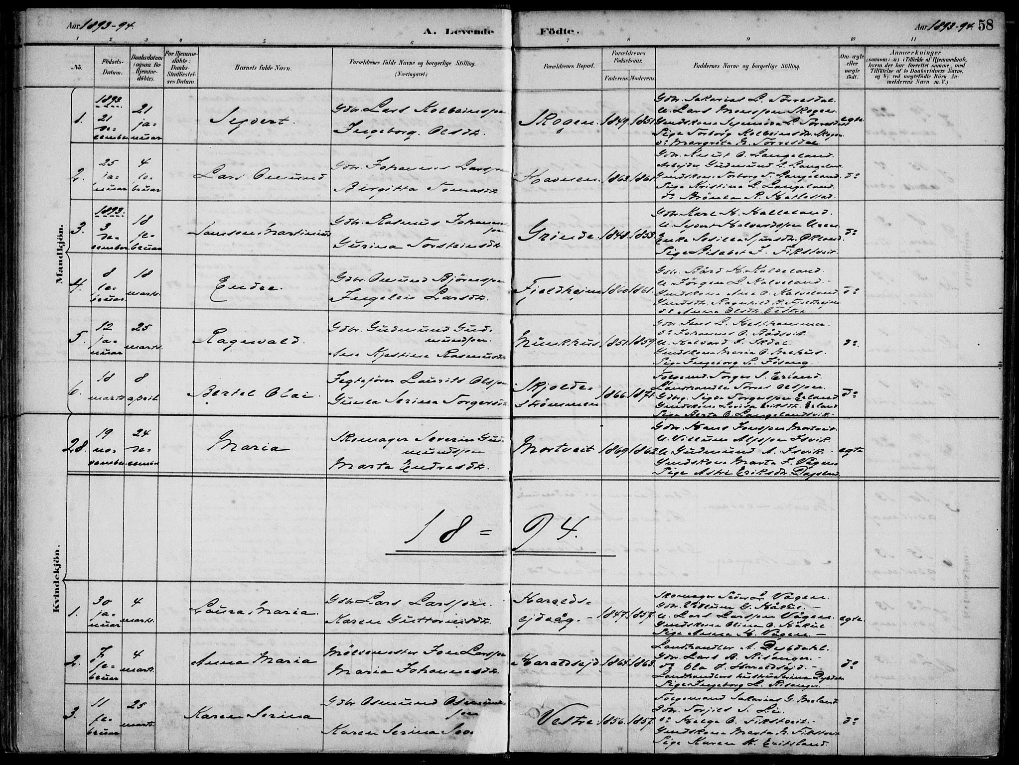 Skjold sokneprestkontor, SAST/A-101847/H/Ha/Haa/L0010: Parish register (official) no. A 10, 1882-1897, p. 58
