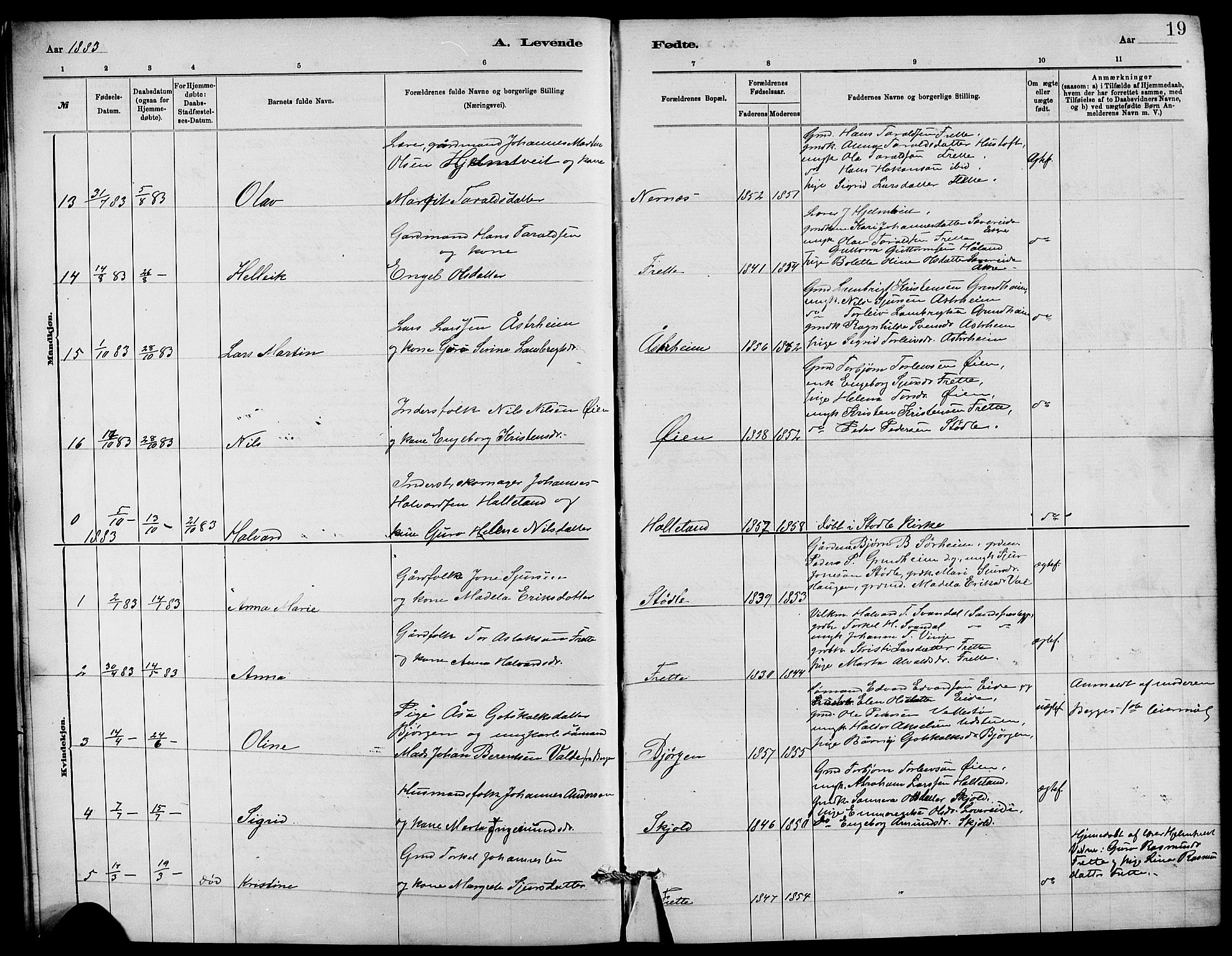 Etne sokneprestembete, AV/SAB-A-75001/H/Hab: Parish register (copy) no. C 4, 1879-1896, p. 19