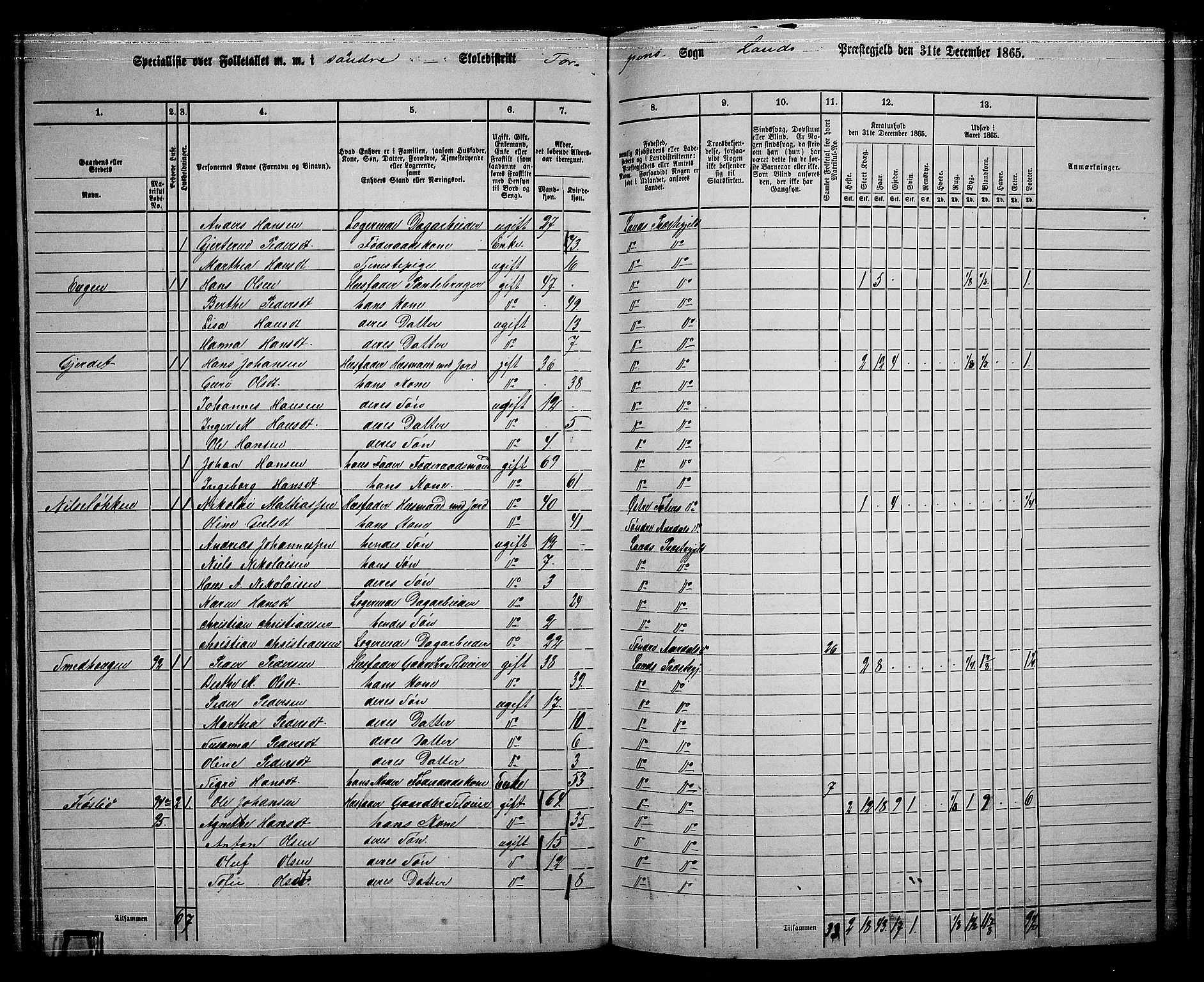 RA, 1865 census for Land, 1865, p. 96