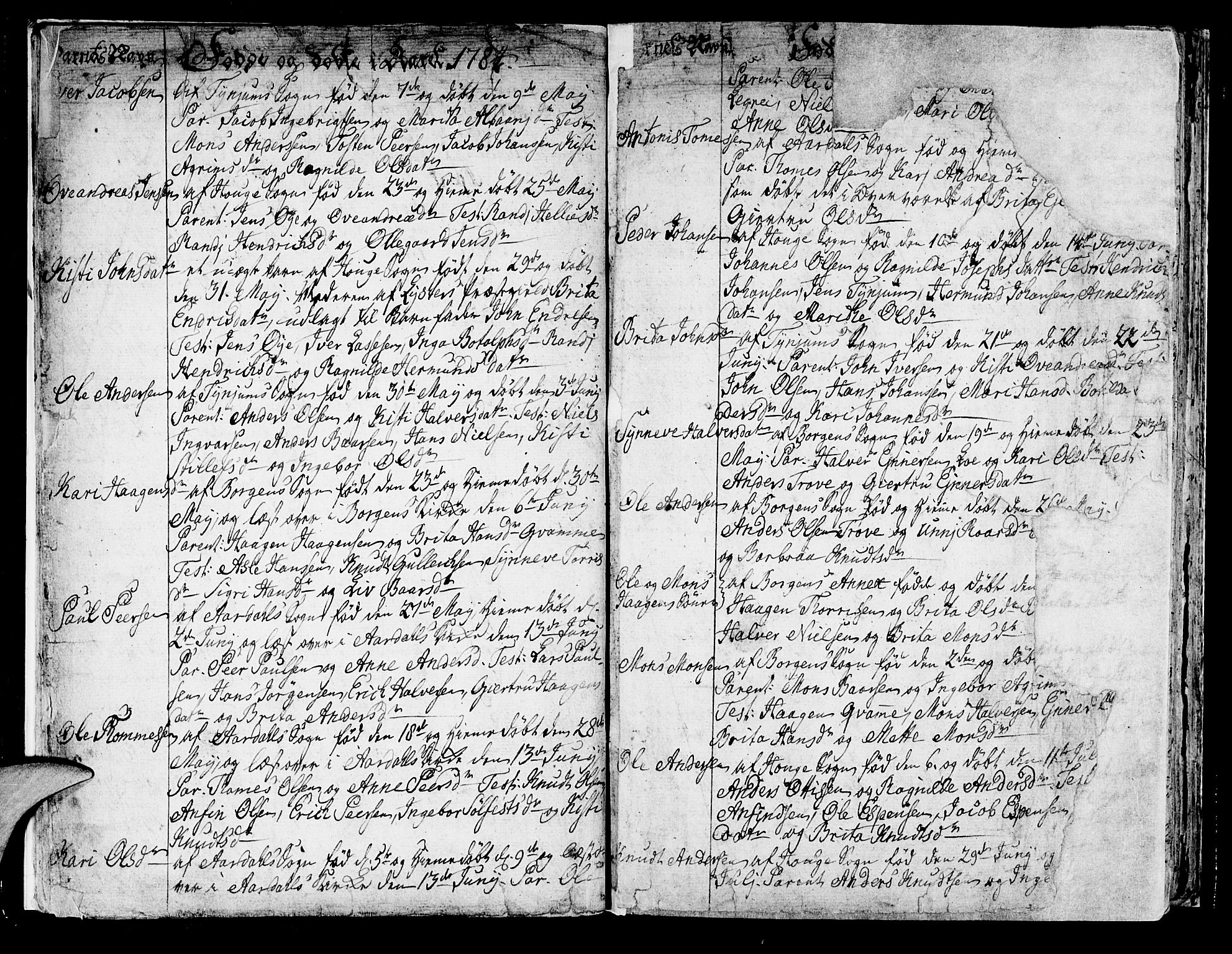 Lærdal sokneprestembete, SAB/A-81201: Parish register (official) no. A 3, 1783-1804, p. 8