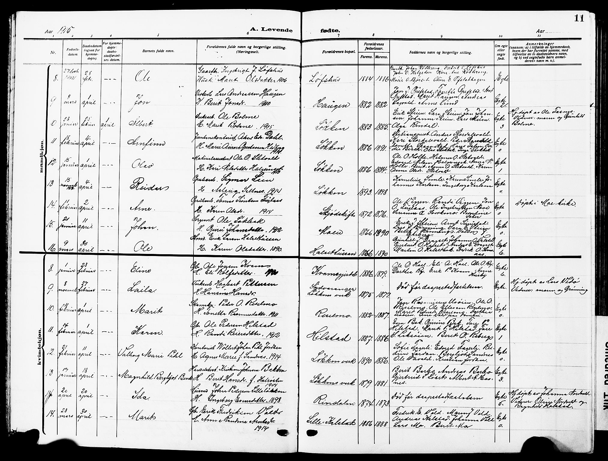 Ministerialprotokoller, klokkerbøker og fødselsregistre - Sør-Trøndelag, AV/SAT-A-1456/672/L0865: Parish register (copy) no. 672C04, 1914-1928, p. 11