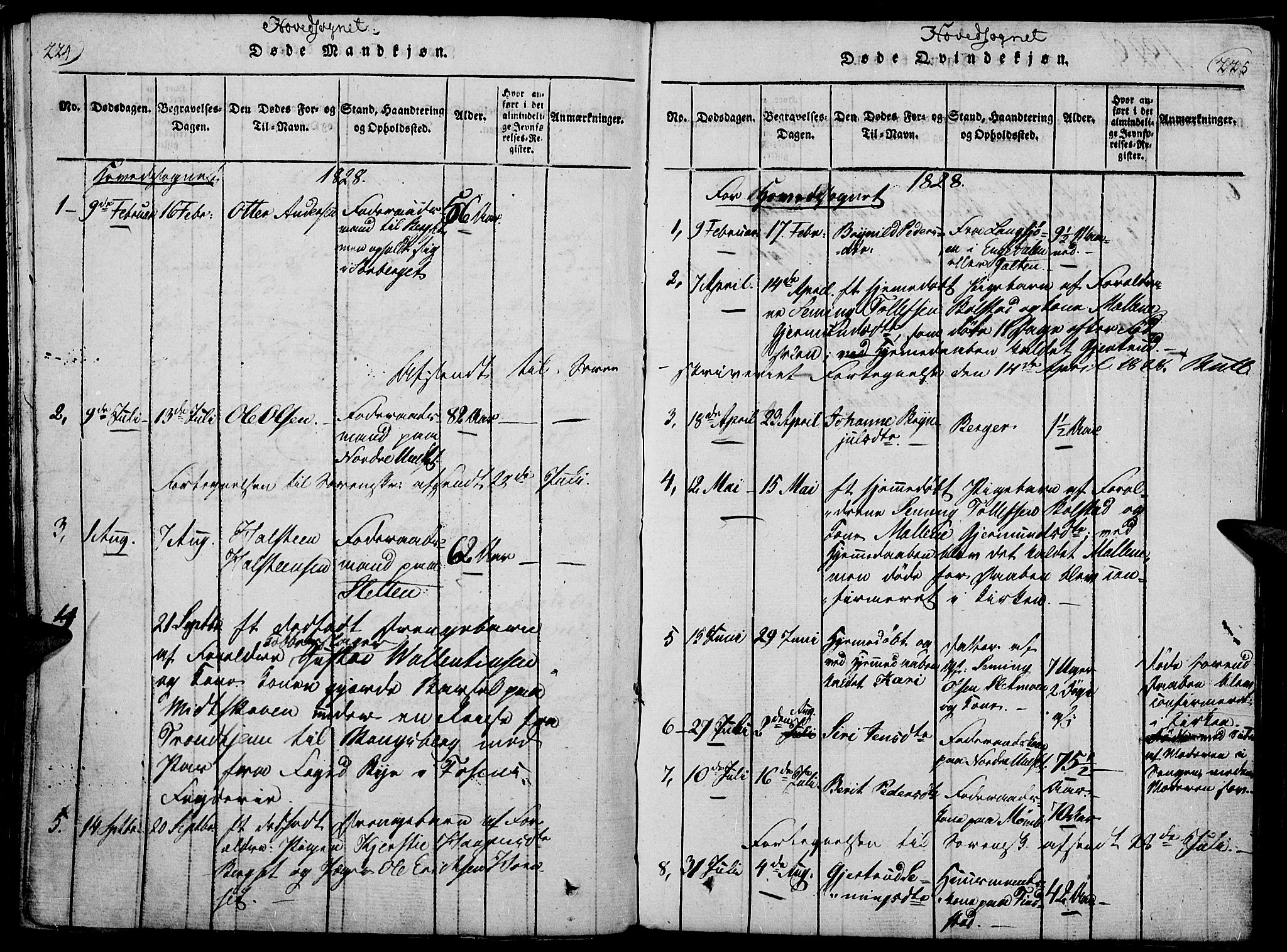 Rendalen prestekontor, AV/SAH-PREST-054/H/Ha/Haa/L0003: Parish register (official) no. 3, 1815-1829, p. 224-225