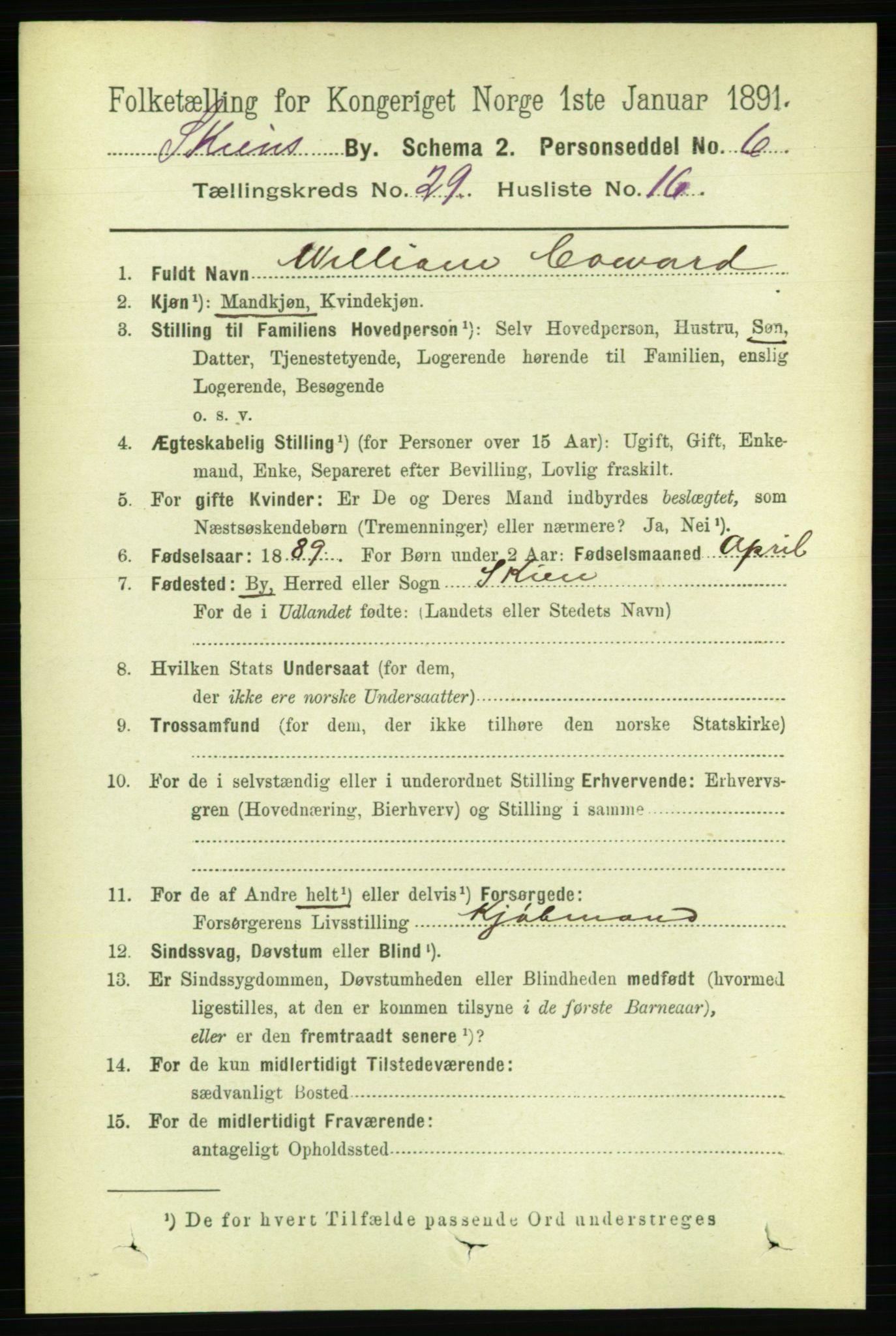 RA, 1891 census for 0806 Skien, 1891, p. 6847