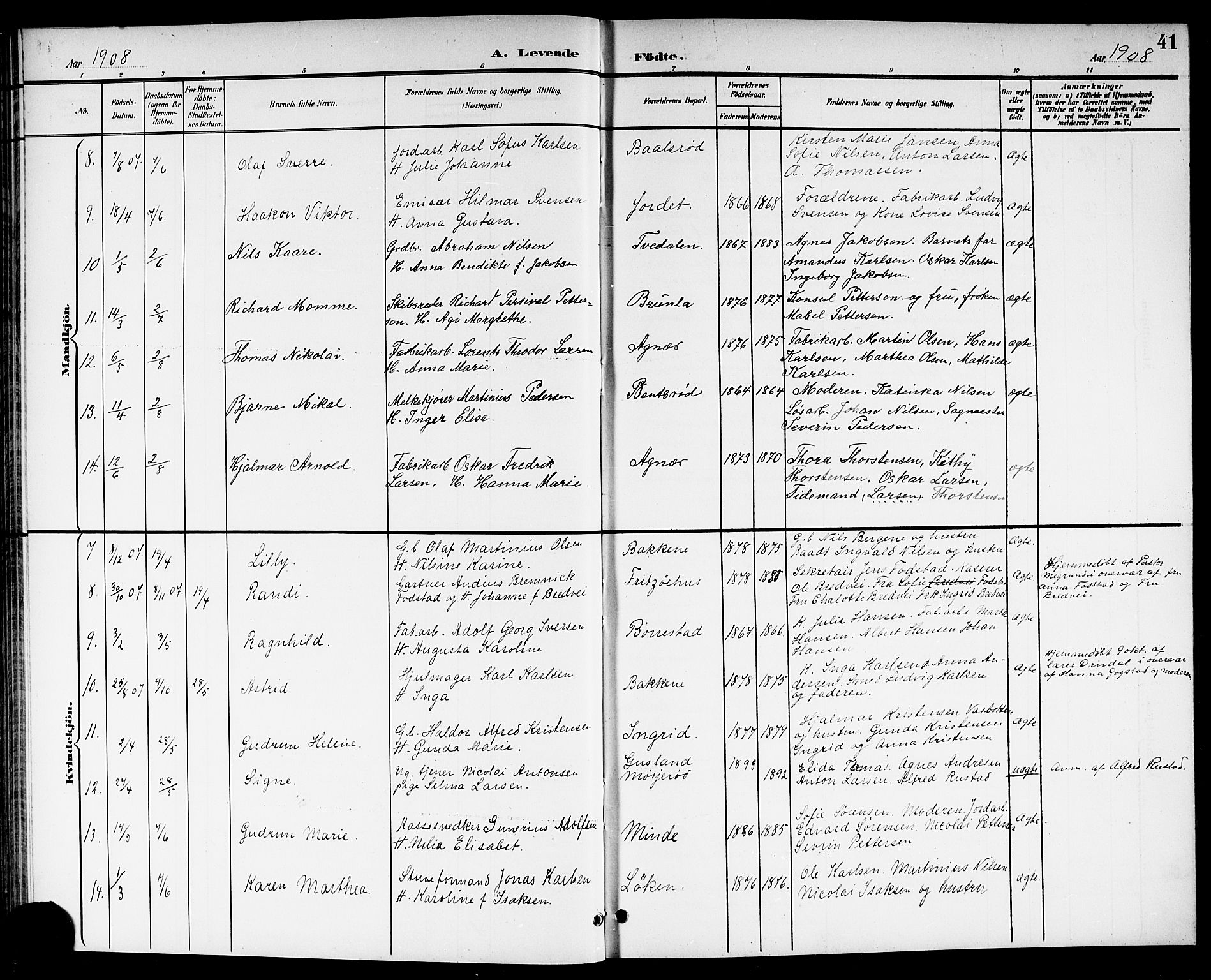 Brunlanes kirkebøker, SAKO/A-342/G/Ga/L0004: Parish register (copy) no. I 4, 1898-1921, p. 41