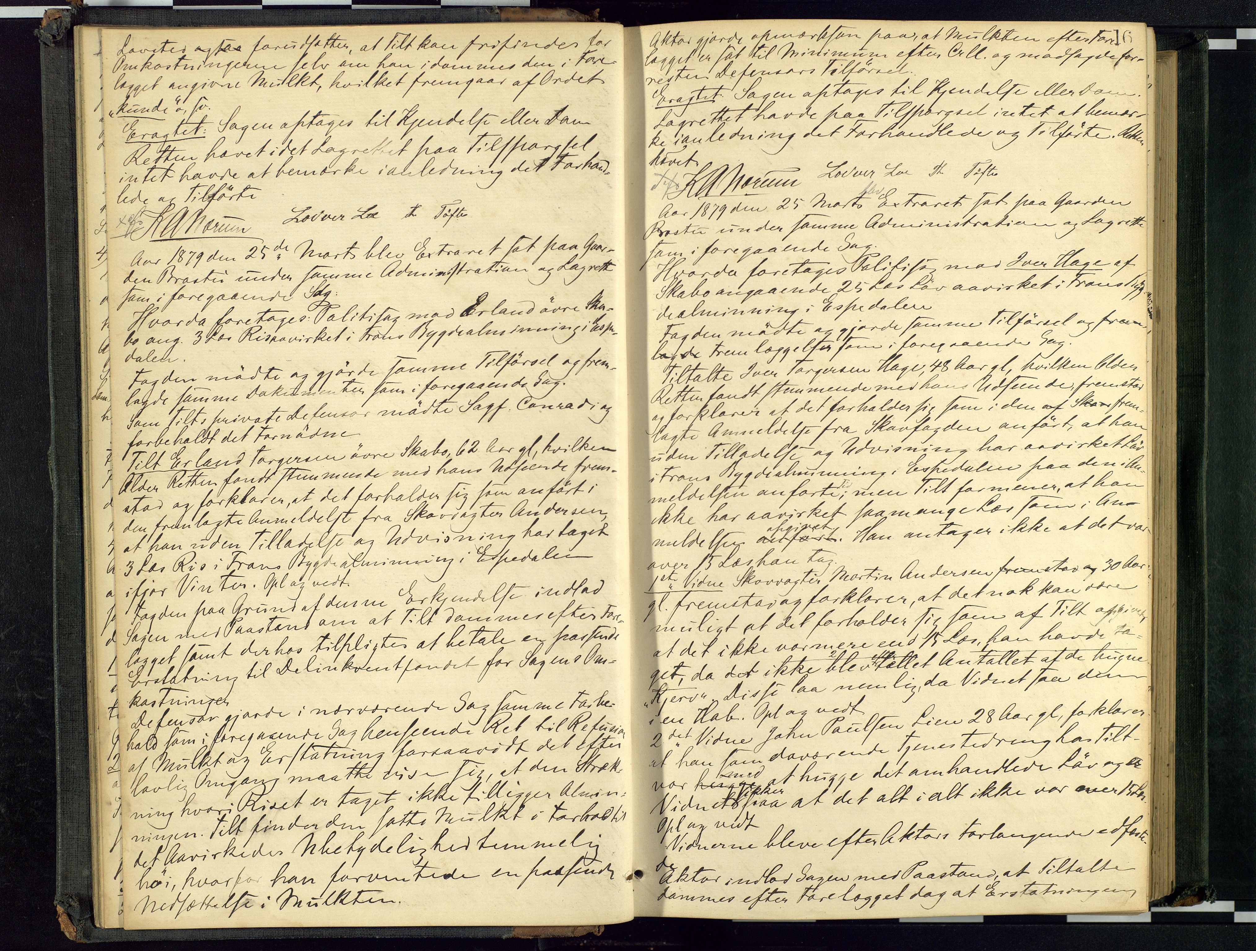 Mellom-Gudbrandsdal sorenskriveri, AV/SAH-TING-038/G/Gc/Gca/L0015: Ekstrarettsprotokoll, 1879-1884, p. 16