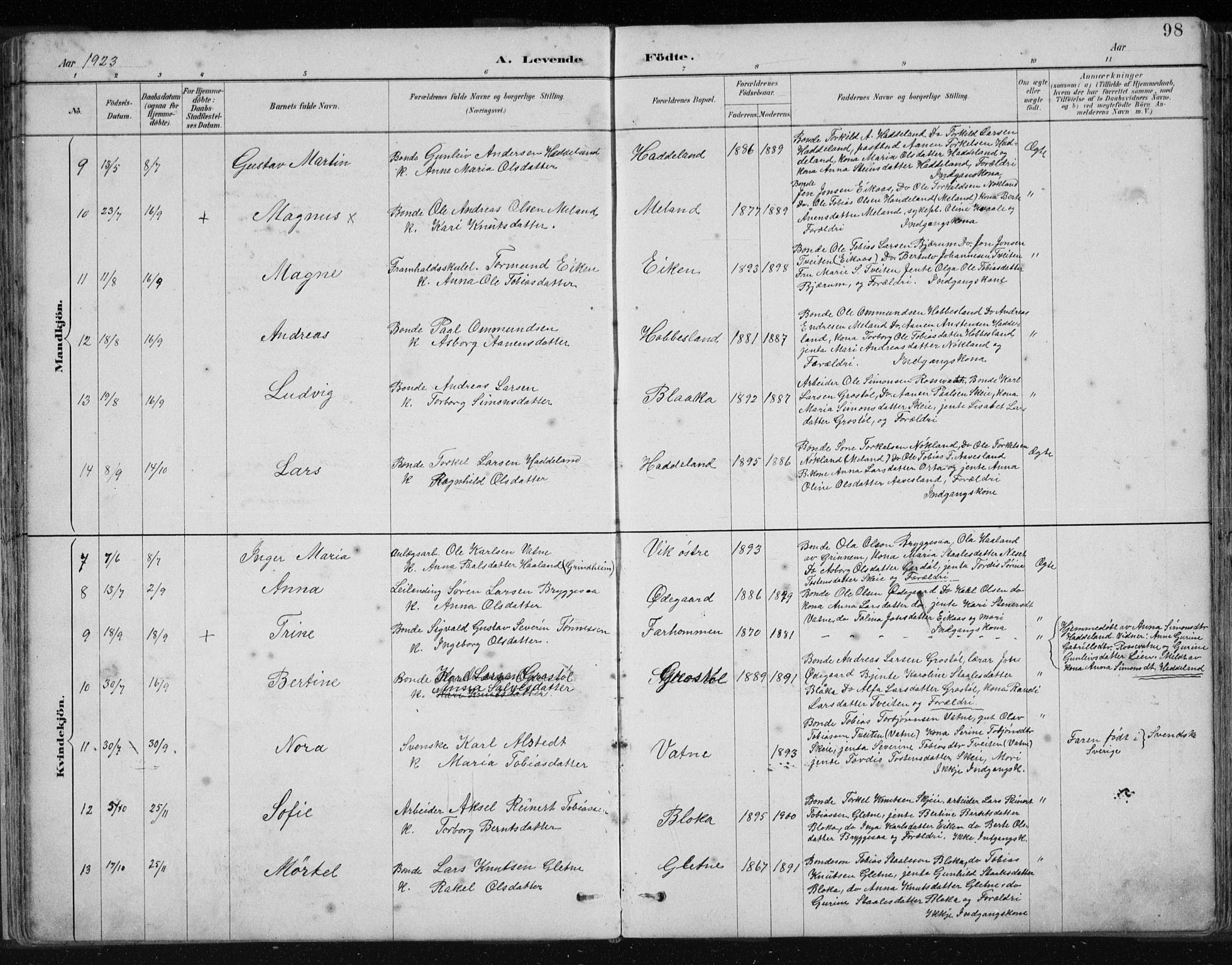 Hægebostad sokneprestkontor, SAK/1111-0024/F/Fb/Fbb/L0003: Parish register (copy) no. B 3, 1887-1937, p. 98