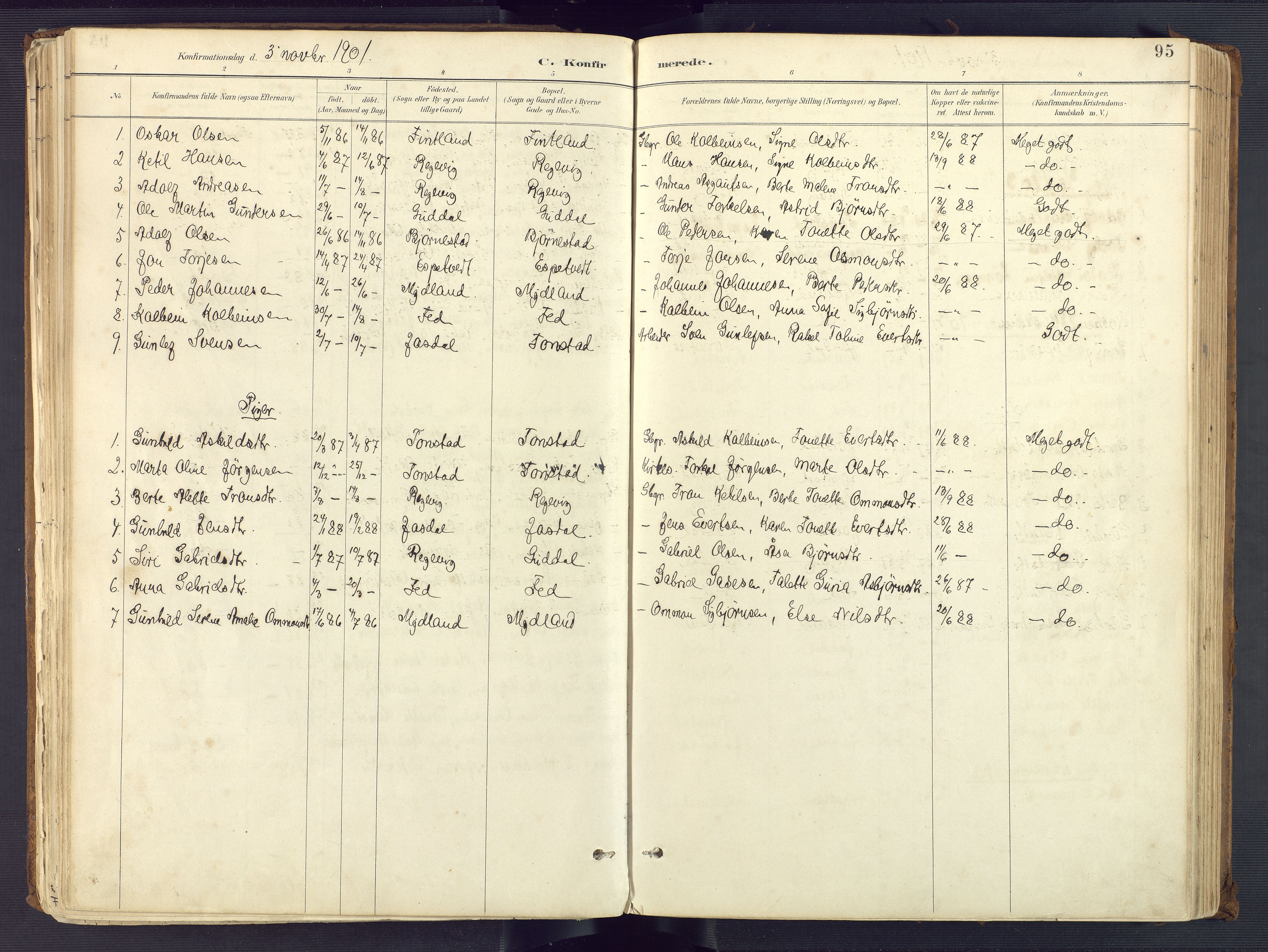 Sirdal sokneprestkontor, SAK/1111-0036/F/Fa/Fab/L0004: Parish register (official) no. A 4, 1887-1919, p. 95