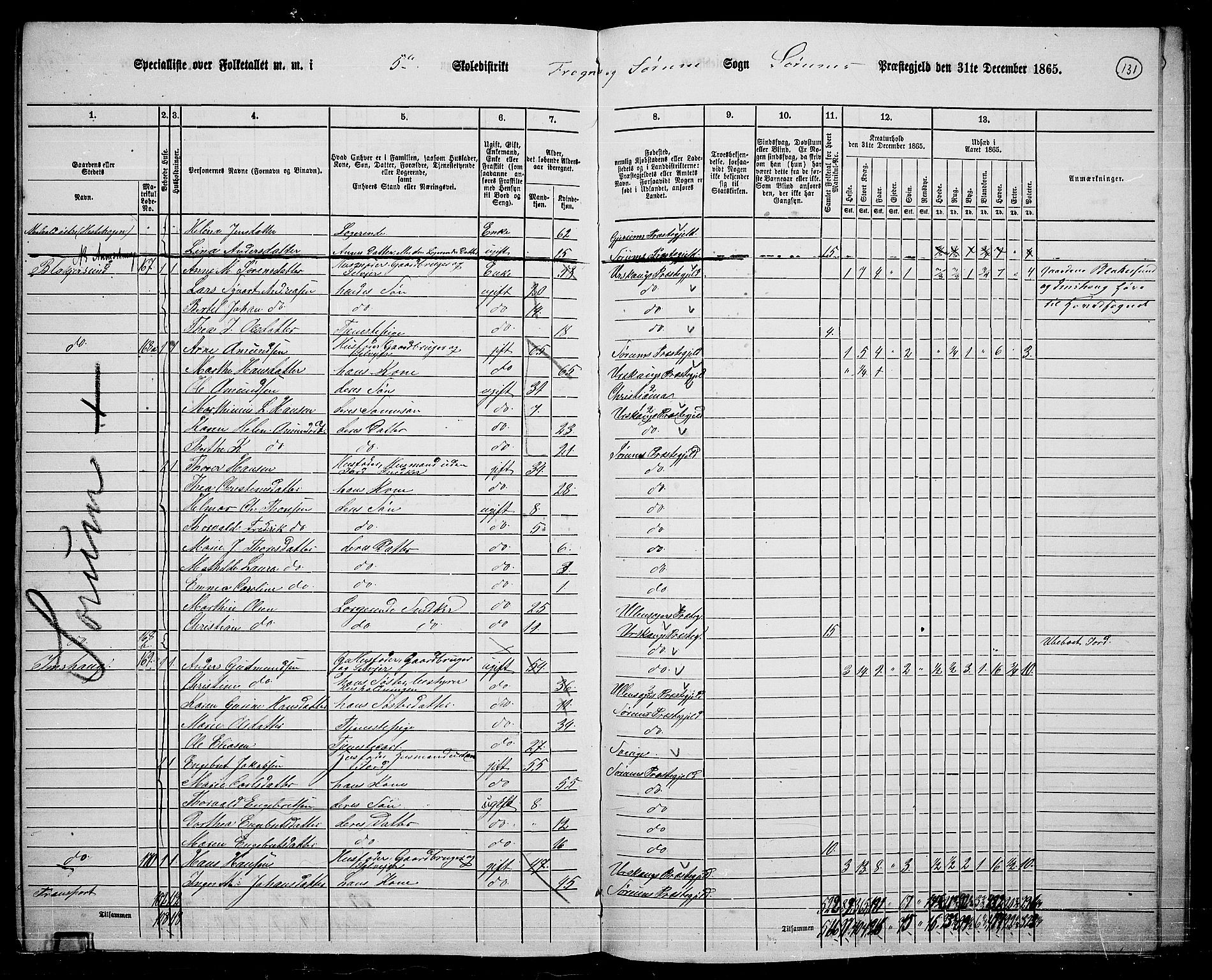 RA, 1865 census for Sørum, 1865, p. 119