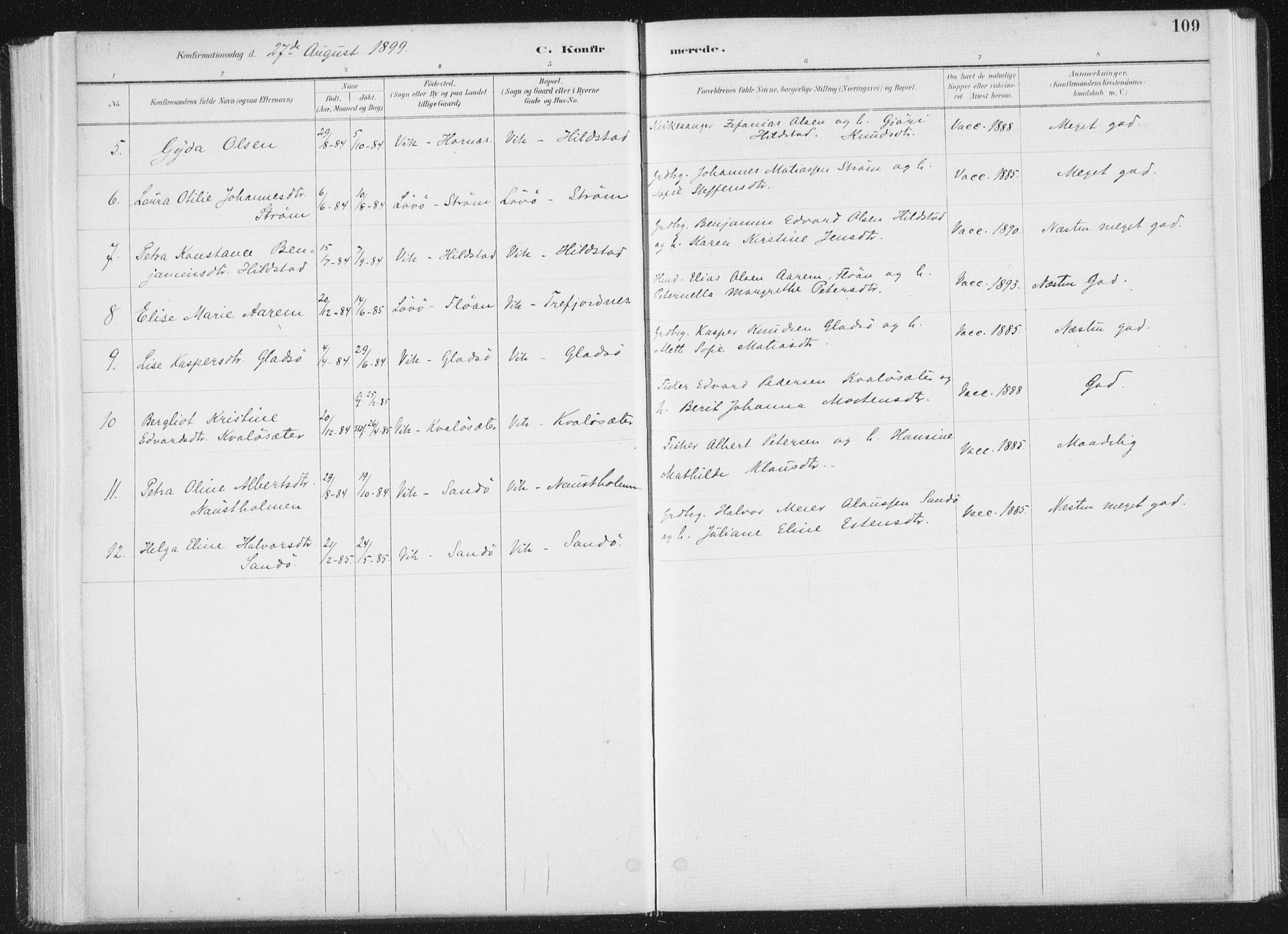 Ministerialprotokoller, klokkerbøker og fødselsregistre - Nord-Trøndelag, SAT/A-1458/771/L0597: Parish register (official) no. 771A04, 1885-1910, p. 109