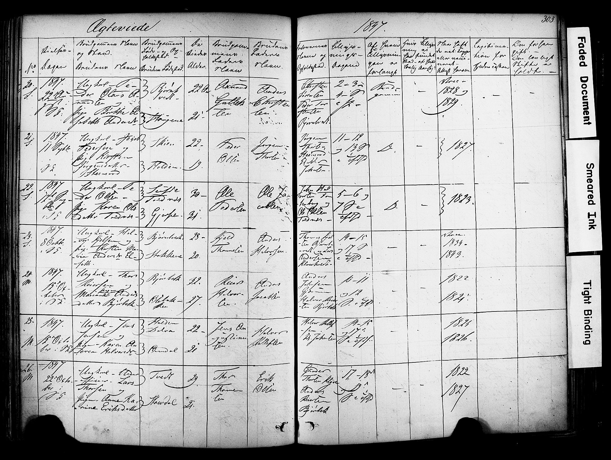 Solum kirkebøker, AV/SAKO-A-306/F/Fa/L0006: Parish register (official) no. I 6, 1844-1855, p. 303