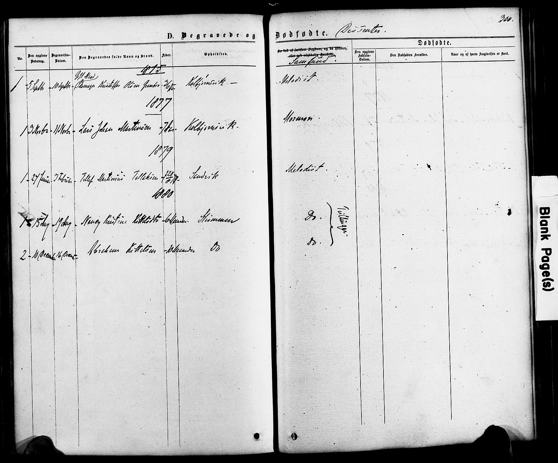 Hisøy sokneprestkontor, SAK/1111-0020/F/Fa/L0002: Parish register (official) no. A 2, 1872-1880, p. 300