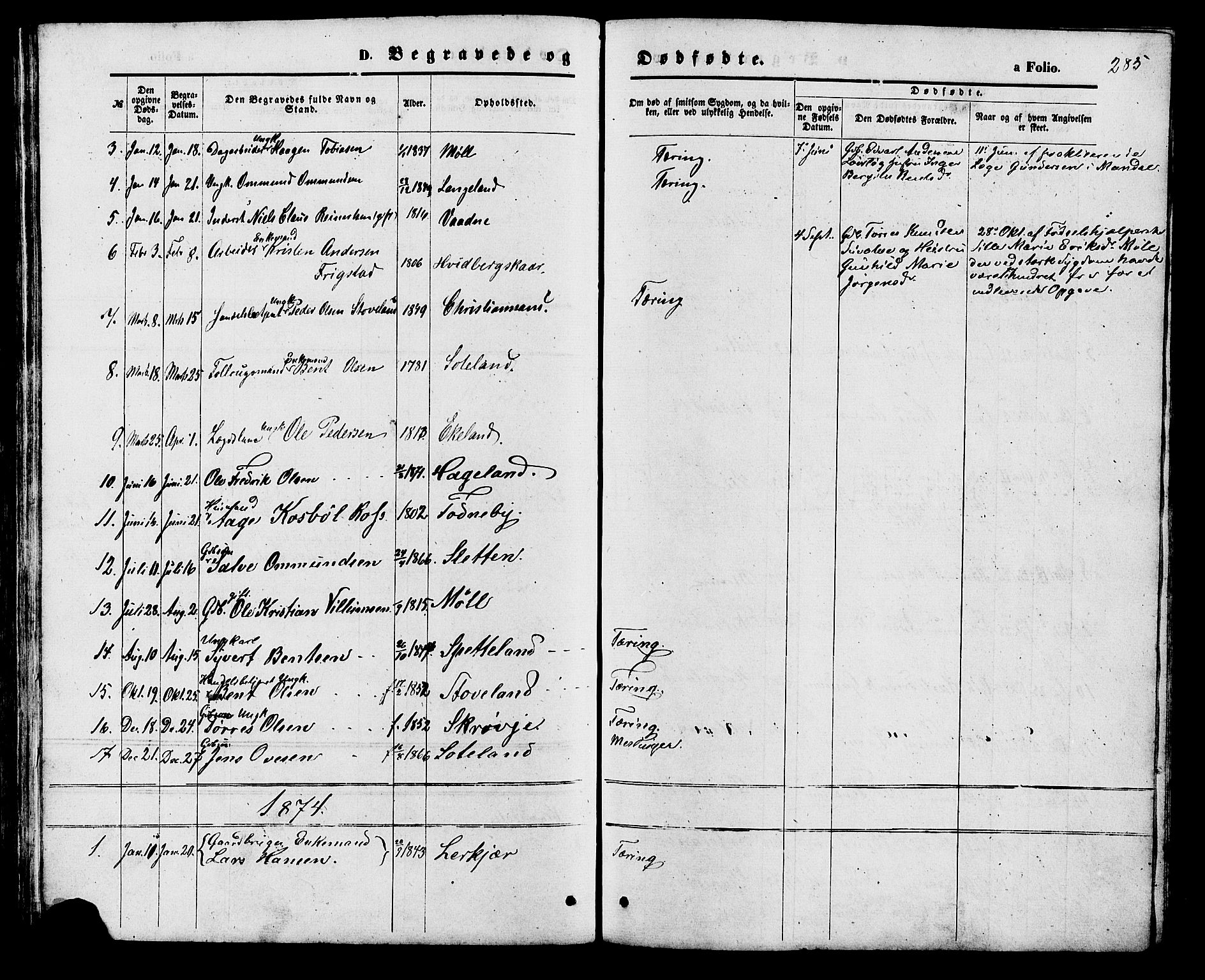 Holum sokneprestkontor, SAK/1111-0022/F/Fb/Fba/L0004: Parish register (copy) no. B 4, 1867-1890, p. 285