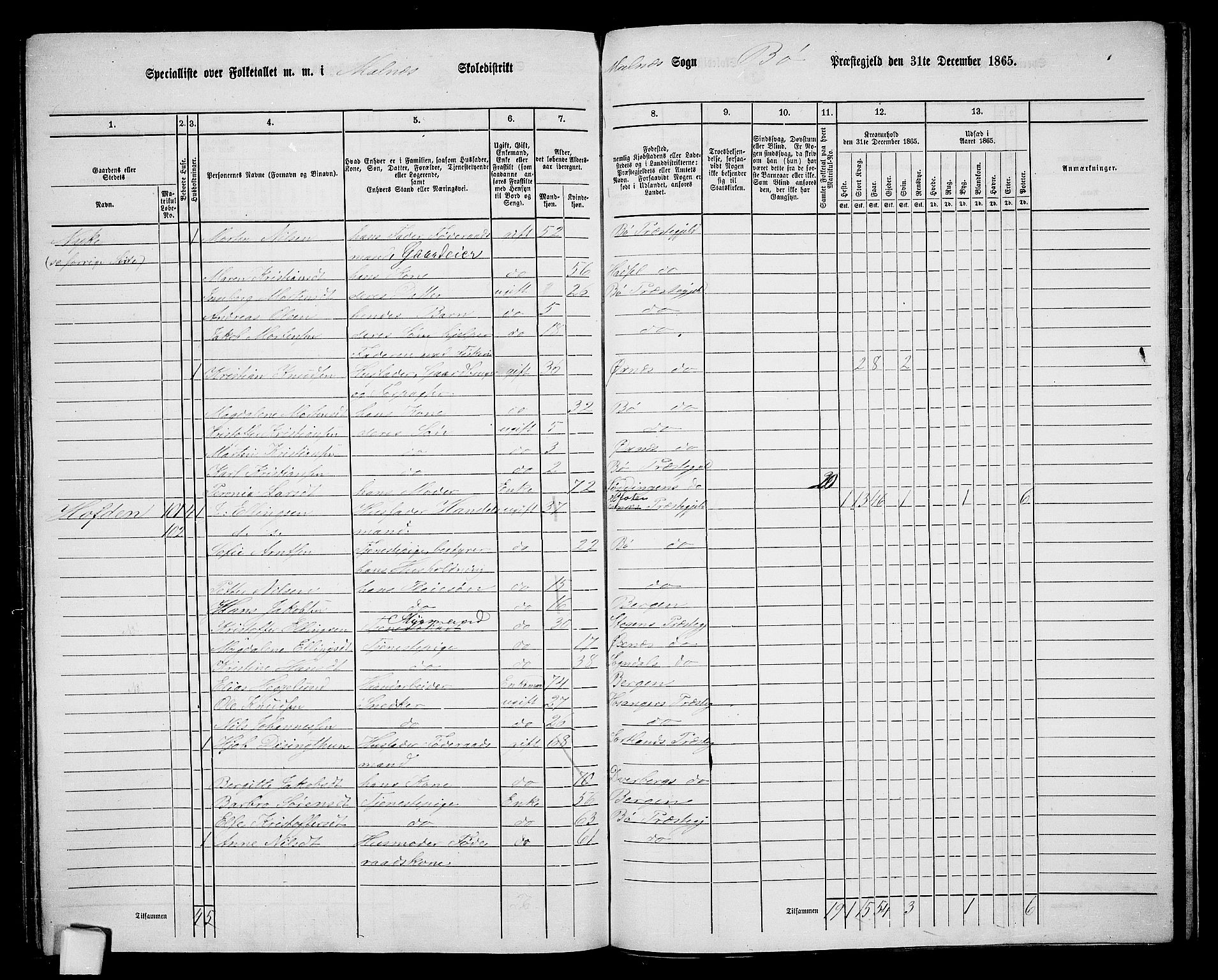 RA, 1865 census for Bø, 1865, p. 61