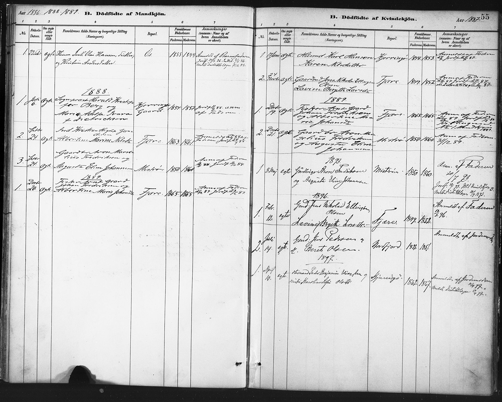 Ministerialprotokoller, klokkerbøker og fødselsregistre - Nordland, AV/SAT-A-1459/803/L0071: Parish register (official) no. 803A01, 1881-1897, p. 55