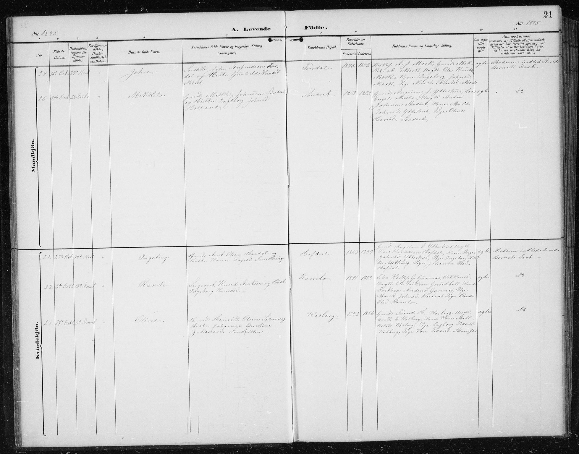 Ministerialprotokoller, klokkerbøker og fødselsregistre - Sør-Trøndelag, SAT/A-1456/674/L0876: Parish register (copy) no. 674C03, 1892-1912, p. 21