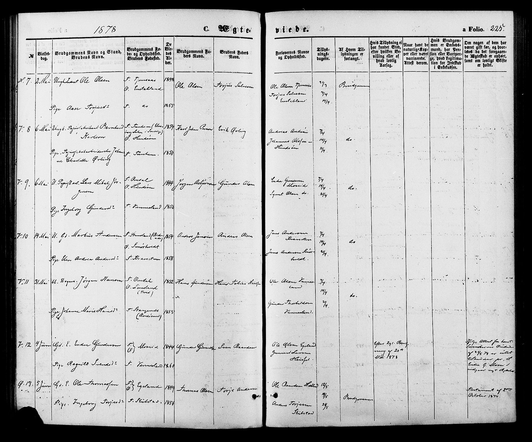 Vennesla sokneprestkontor, SAK/1111-0045/Fa/Fac/L0008: Parish register (official) no. A 8, 1874-1883, p. 225