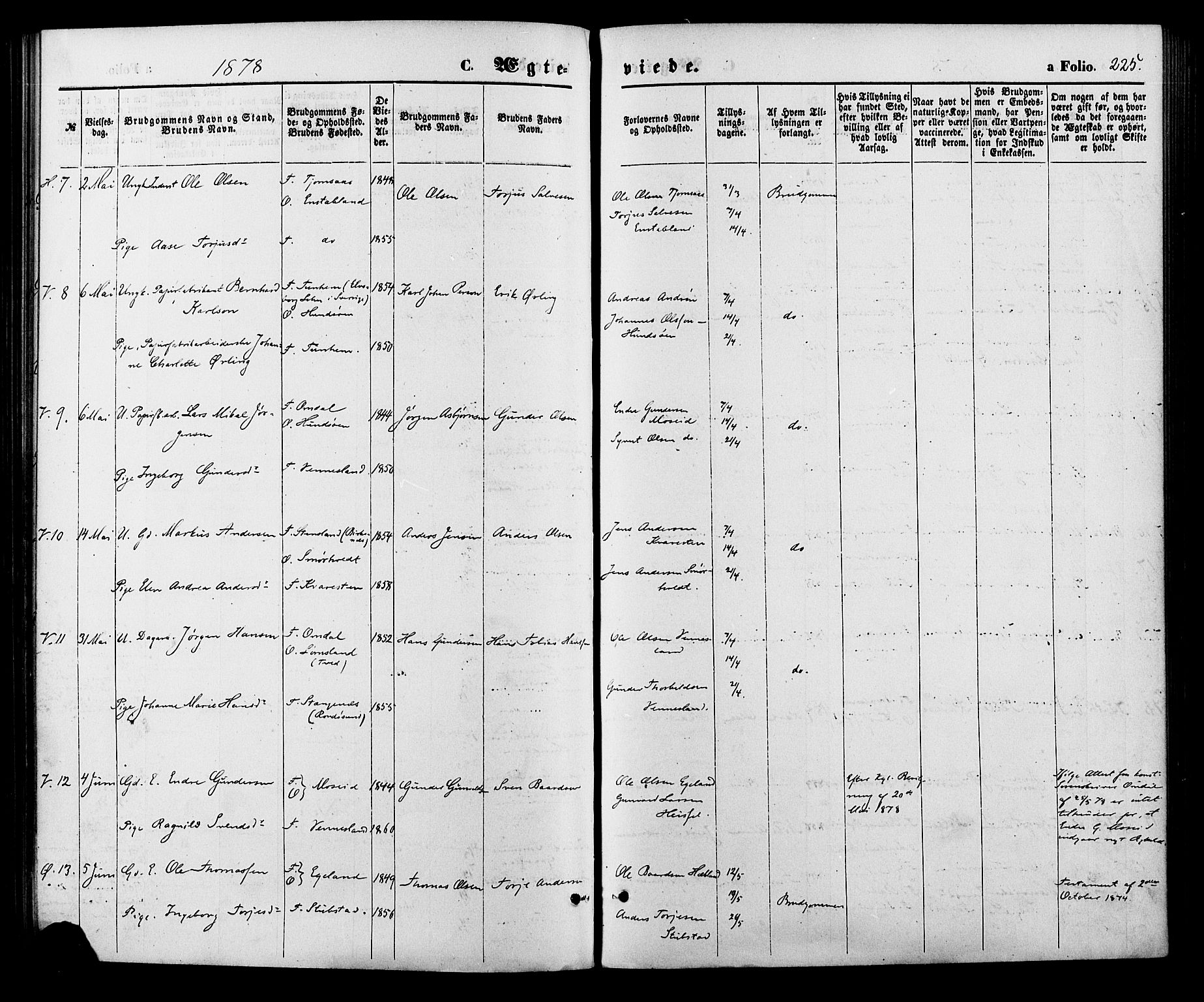 Vennesla sokneprestkontor, AV/SAK-1111-0045/Fa/Fac/L0008: Parish register (official) no. A 8, 1874-1883, p. 225