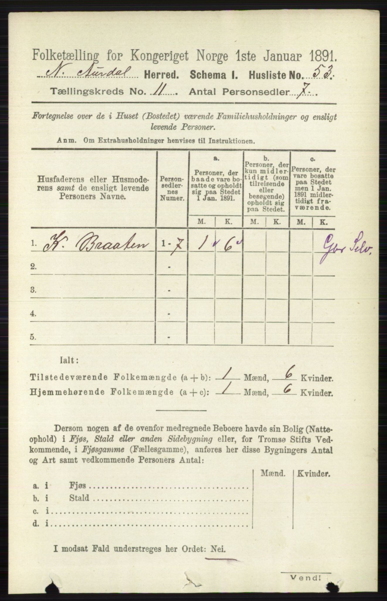 RA, 1891 census for 0542 Nord-Aurdal, 1891, p. 4111