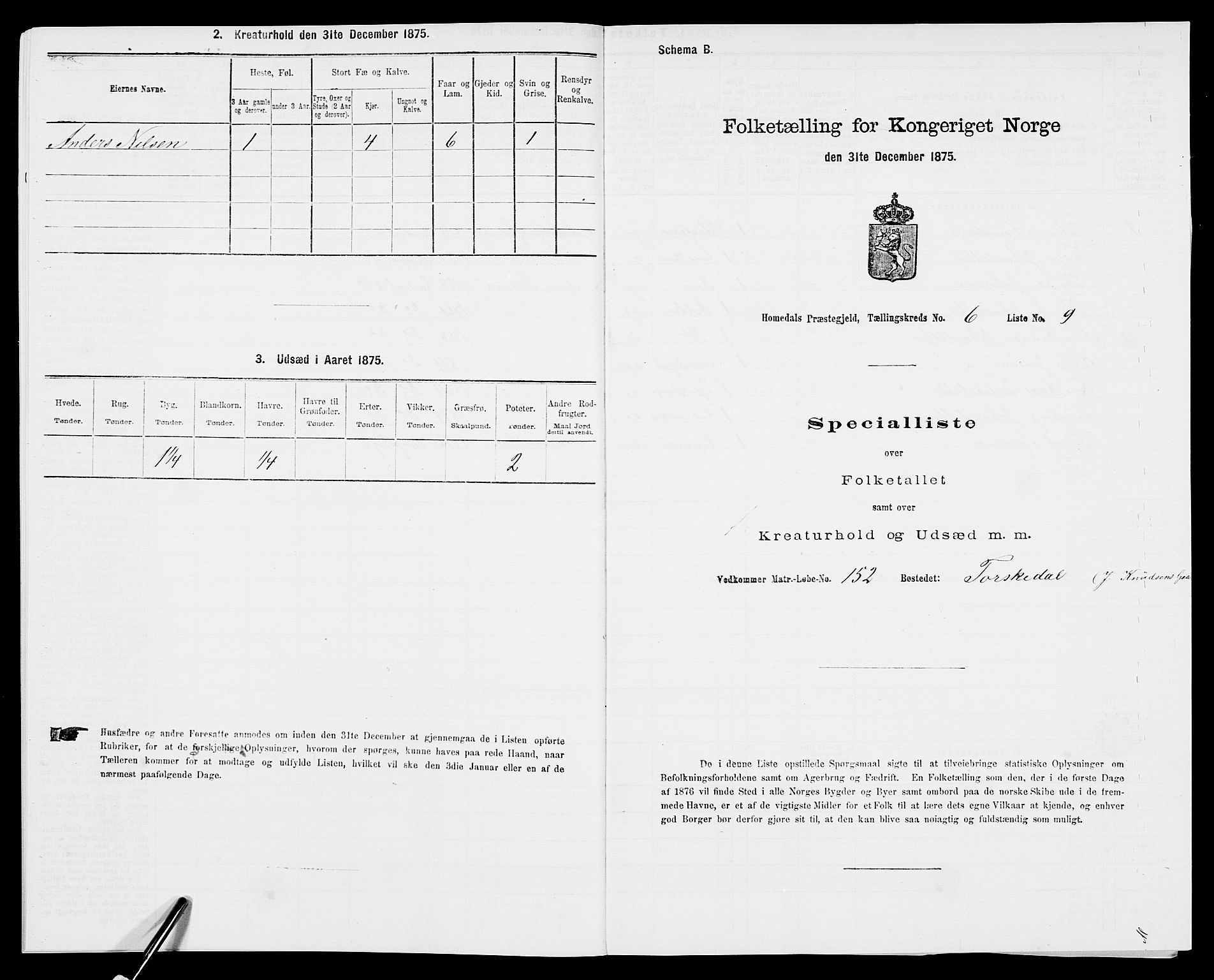 SAK, 1875 census for 0924P Homedal, 1875, p. 1054